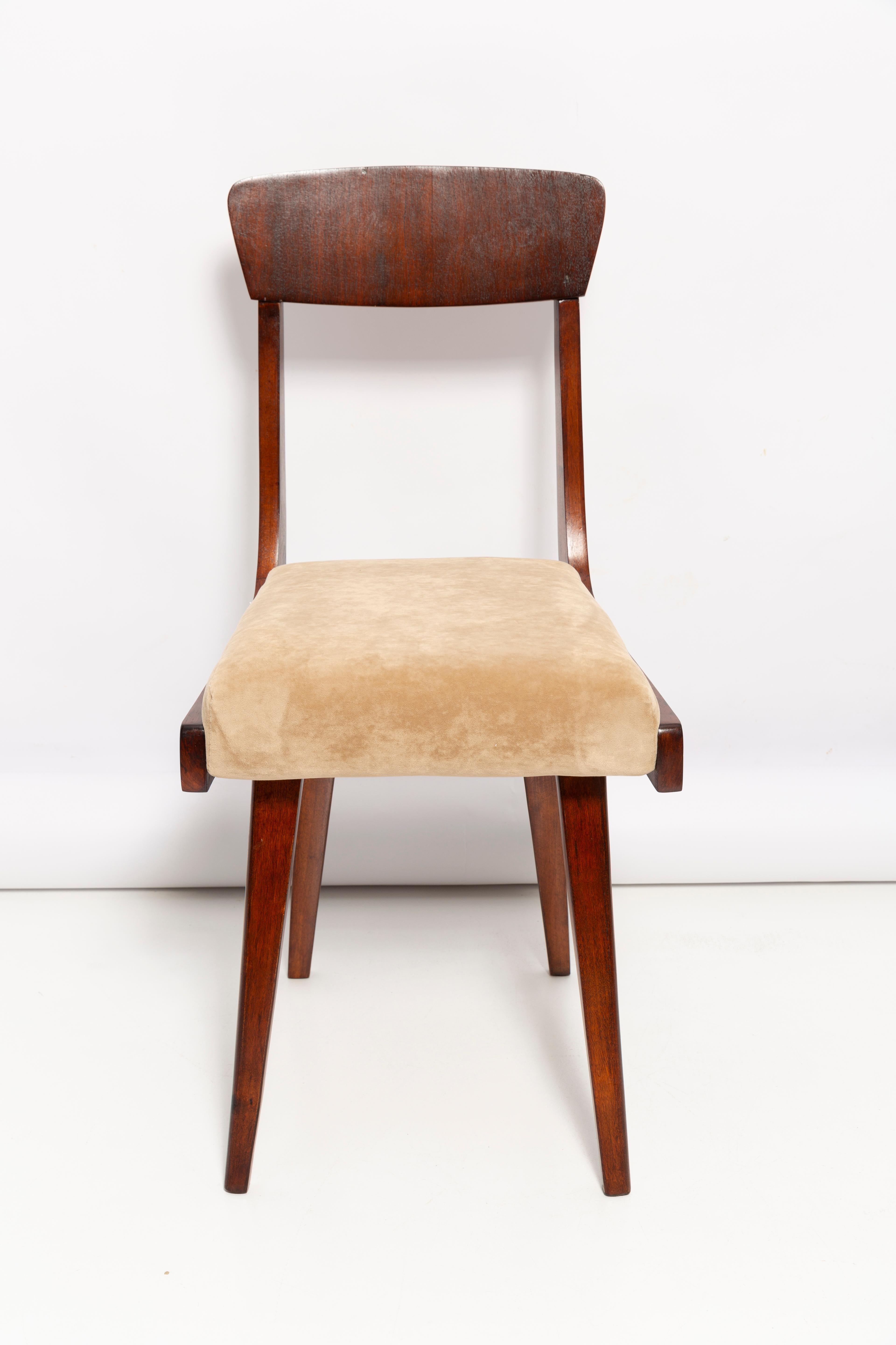 20th Century Mid Century Gazelle Beige Wood Chair, Europe, 1960s For Sale