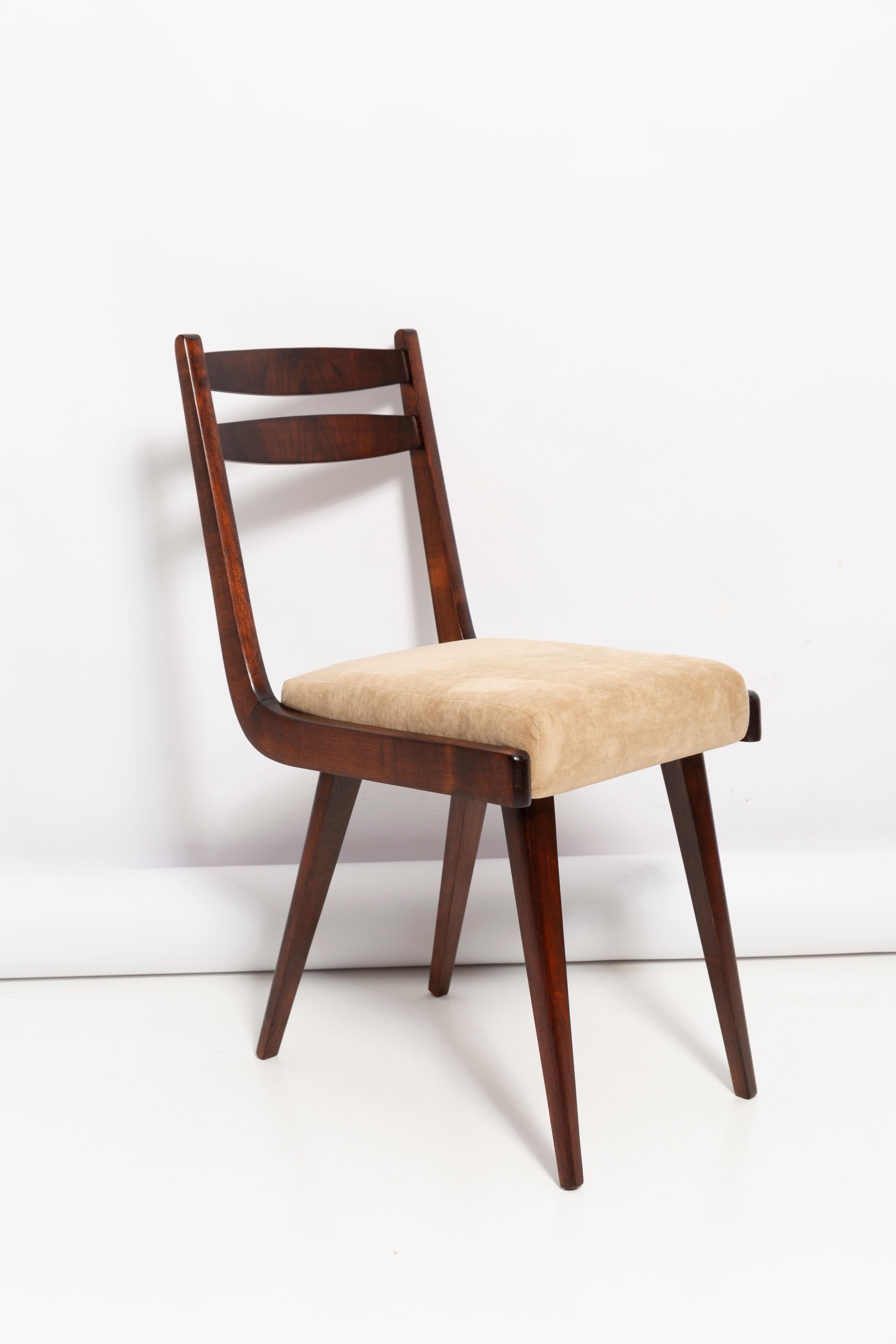 Mid-Century Modern Mid Century Gazelle ii Beige Velvet, Walnut Wood Chair, Europe, 1960s For Sale