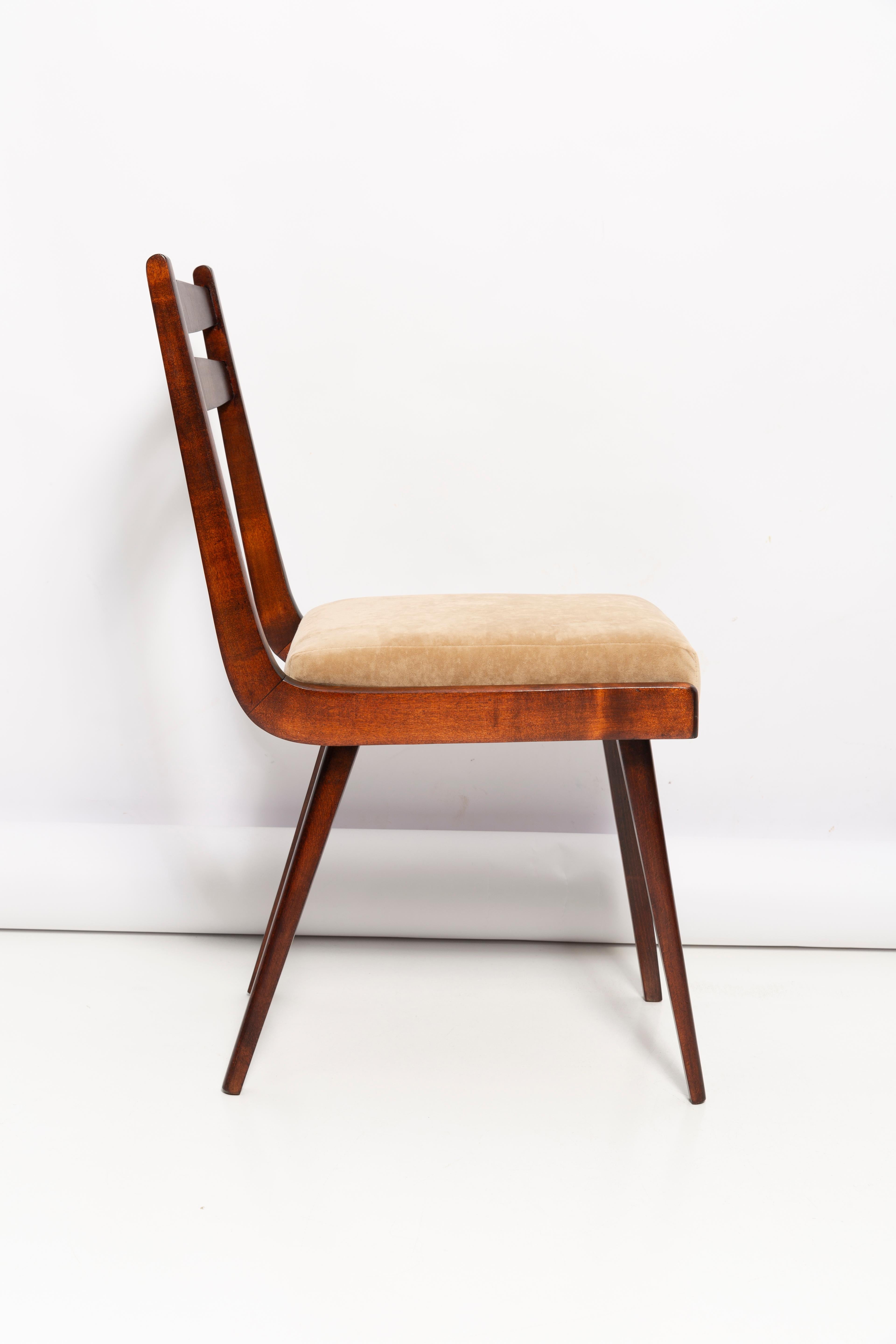 Polish Mid Century Gazelle ii Beige Velvet, Walnut Wood Chair, Europe, 1960s For Sale