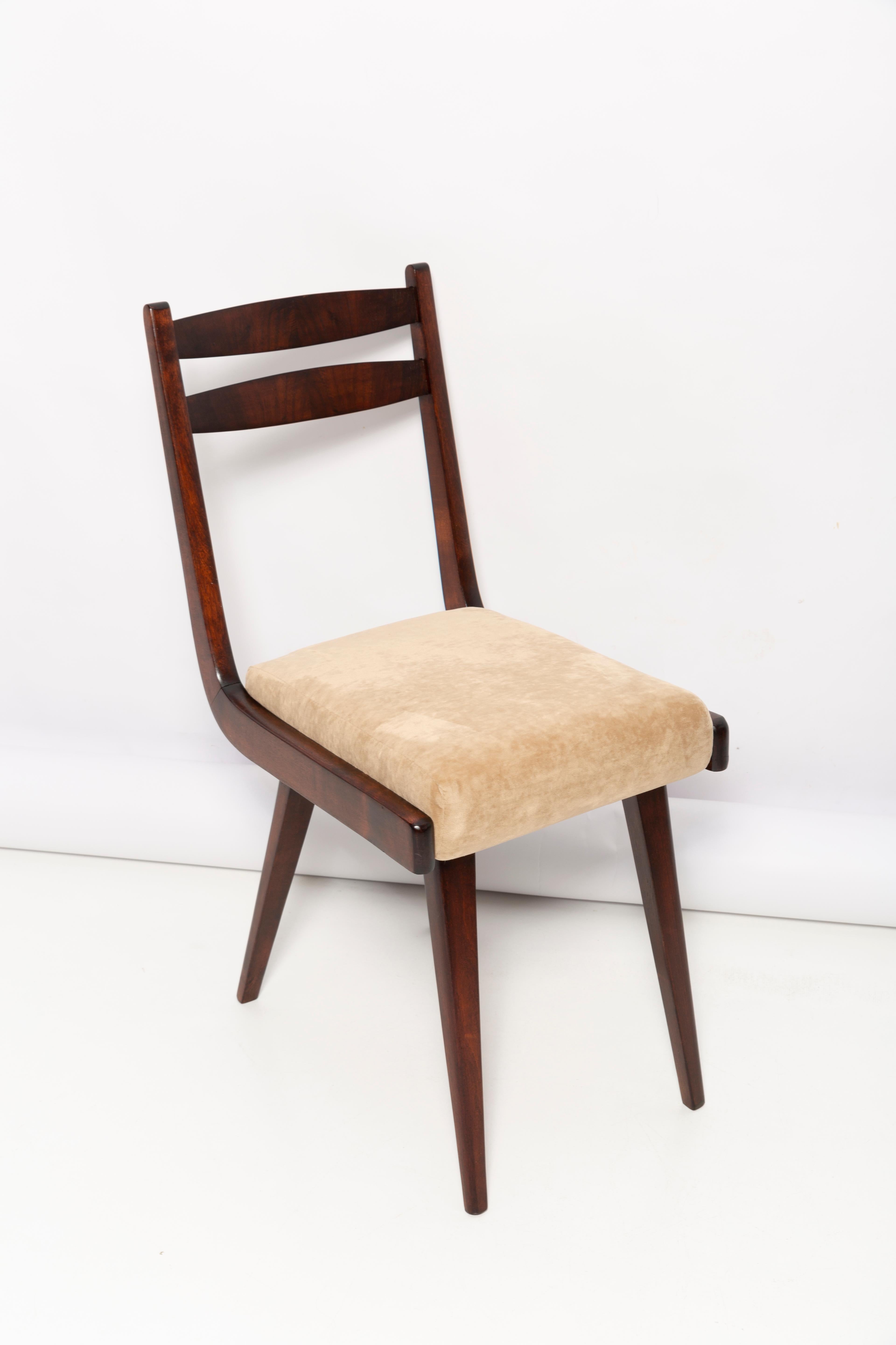 Hand-Crafted Mid Century Gazelle ii Beige Velvet, Walnut Wood Chair, Europe, 1960s For Sale