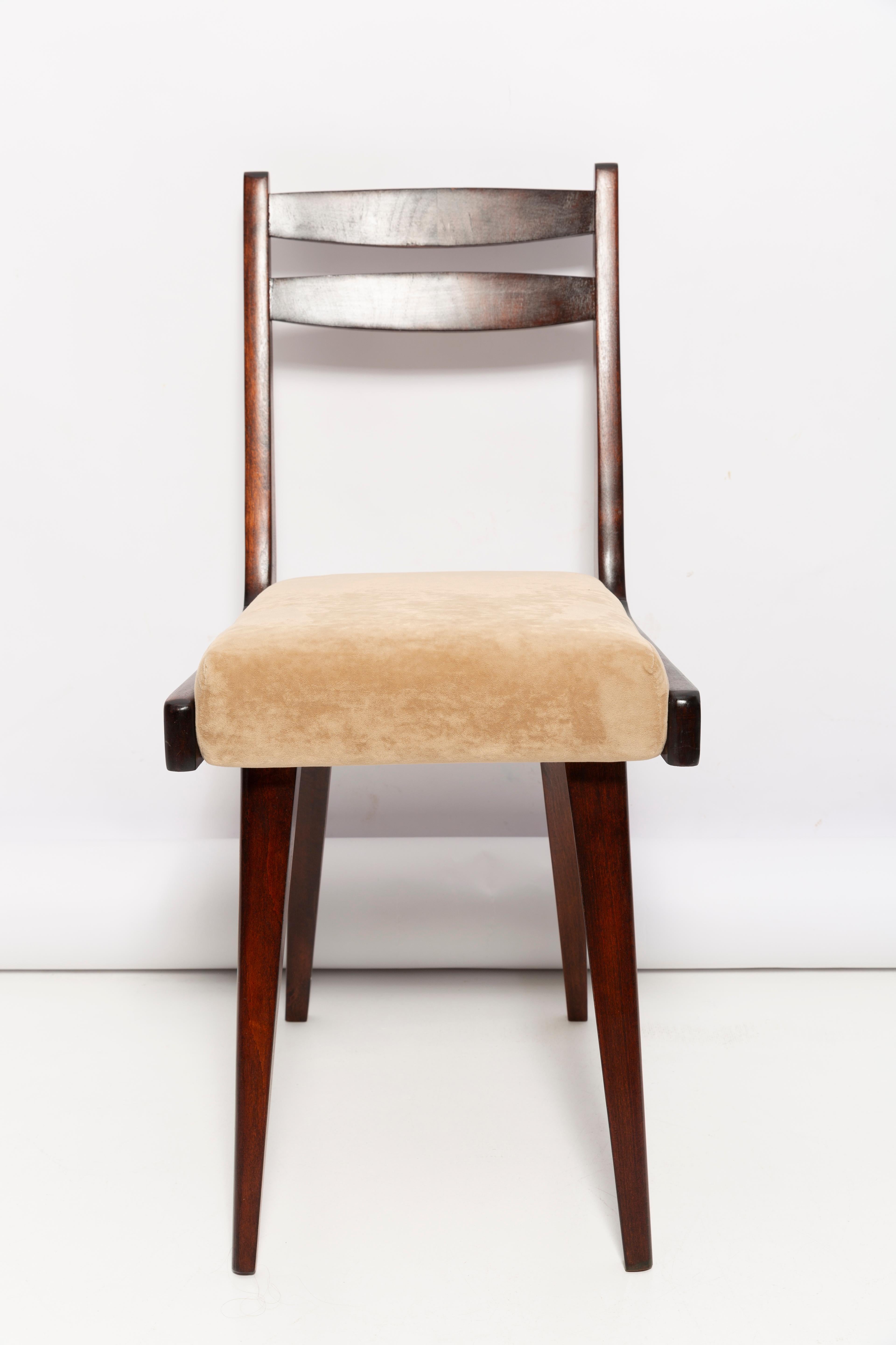20th Century Mid Century Gazelle ii Beige Velvet, Walnut Wood Chair, Europe, 1960s For Sale