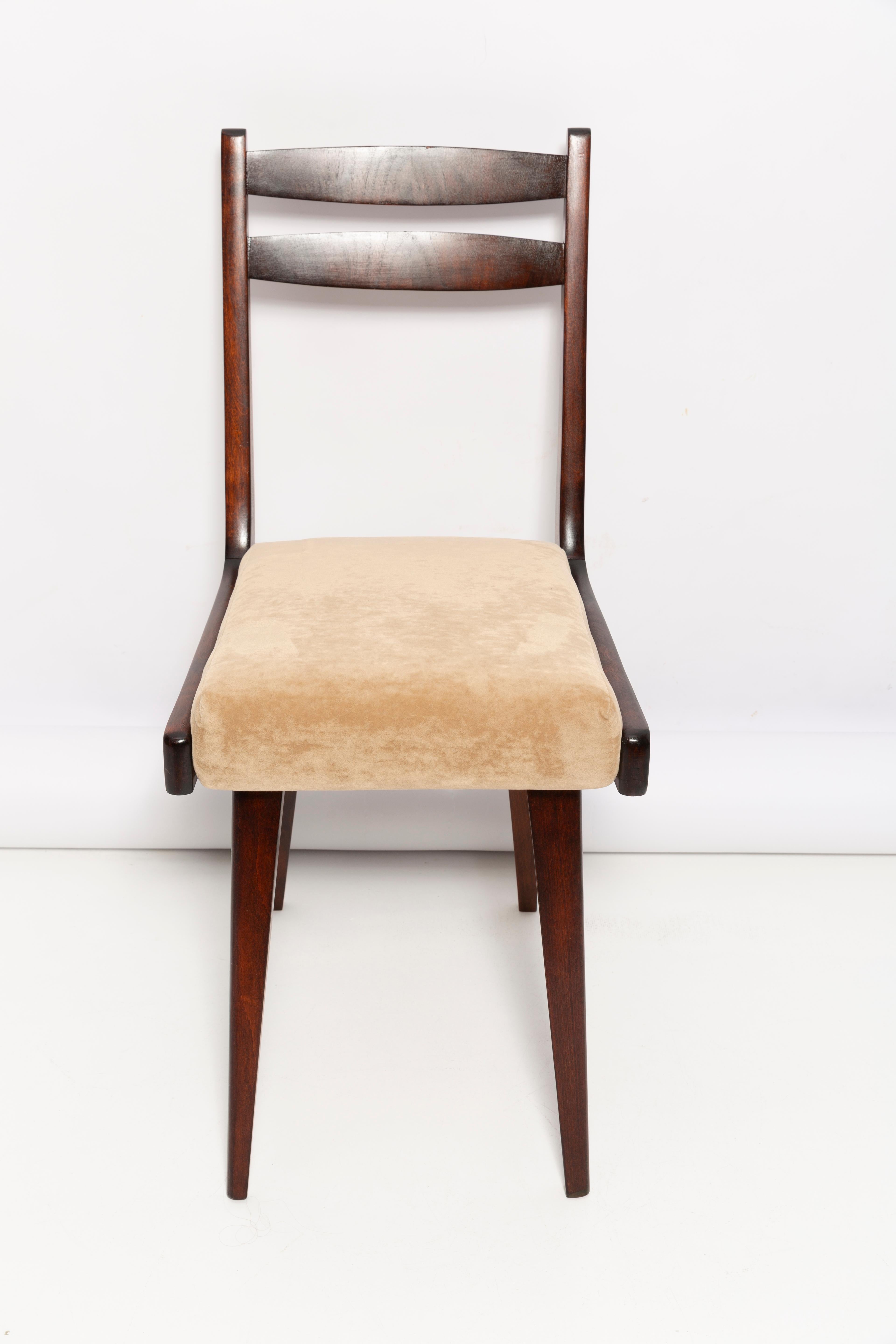 Textile Mid Century Gazelle ii Beige Velvet, Walnut Wood Chair, Europe, 1960s For Sale