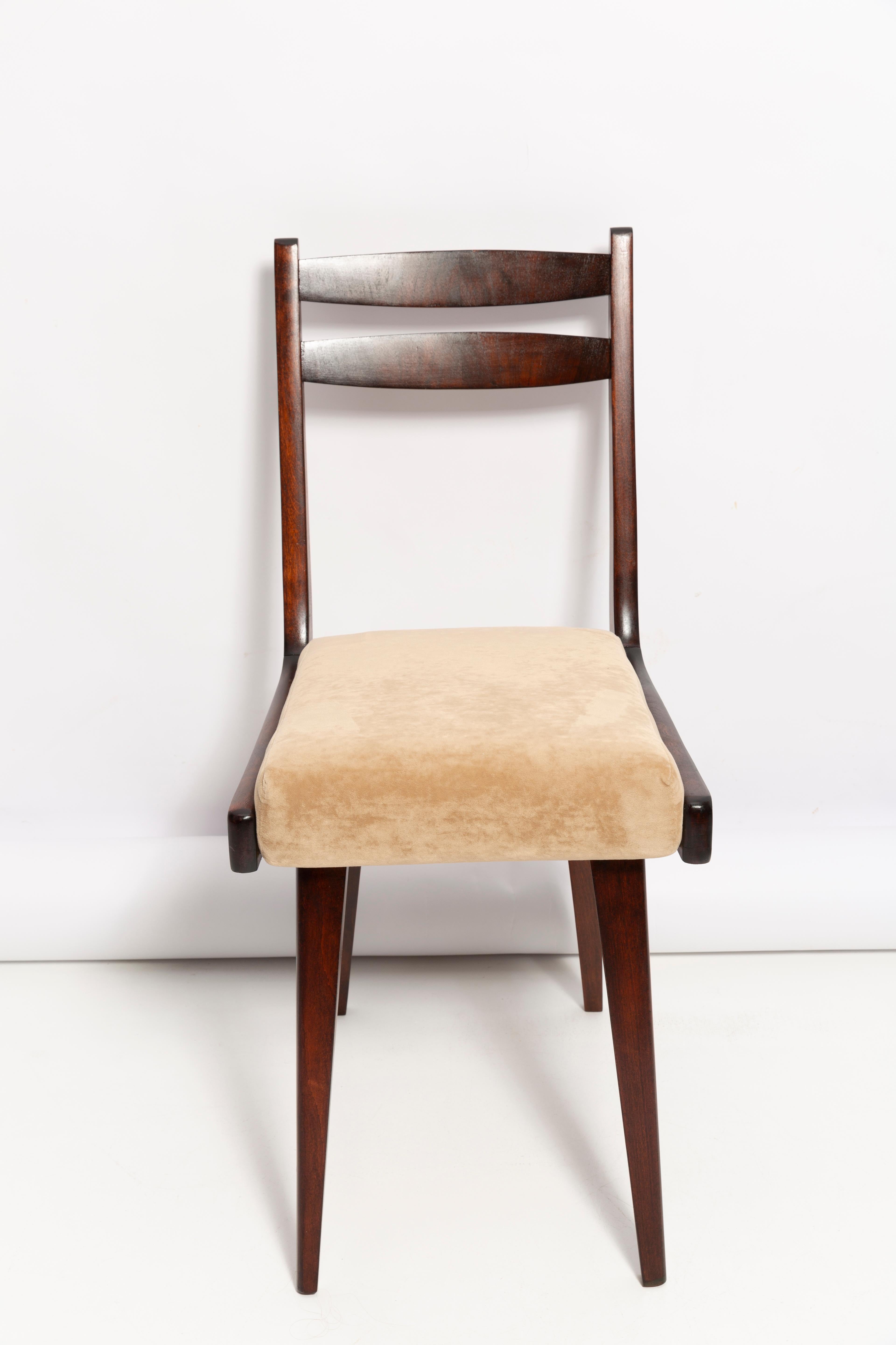 Mid Century Gazelle ii Beige Velvet, Walnut Wood Chair, Europe, 1960s For Sale 1