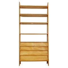 Libreria vintage a scaffale Cheast of drawers (cassetti)