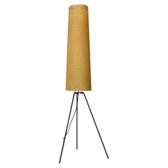 Lampadaire tripode minimaliste allemand du milieu du siècle dernier de Hesse Leuchten, années 1960