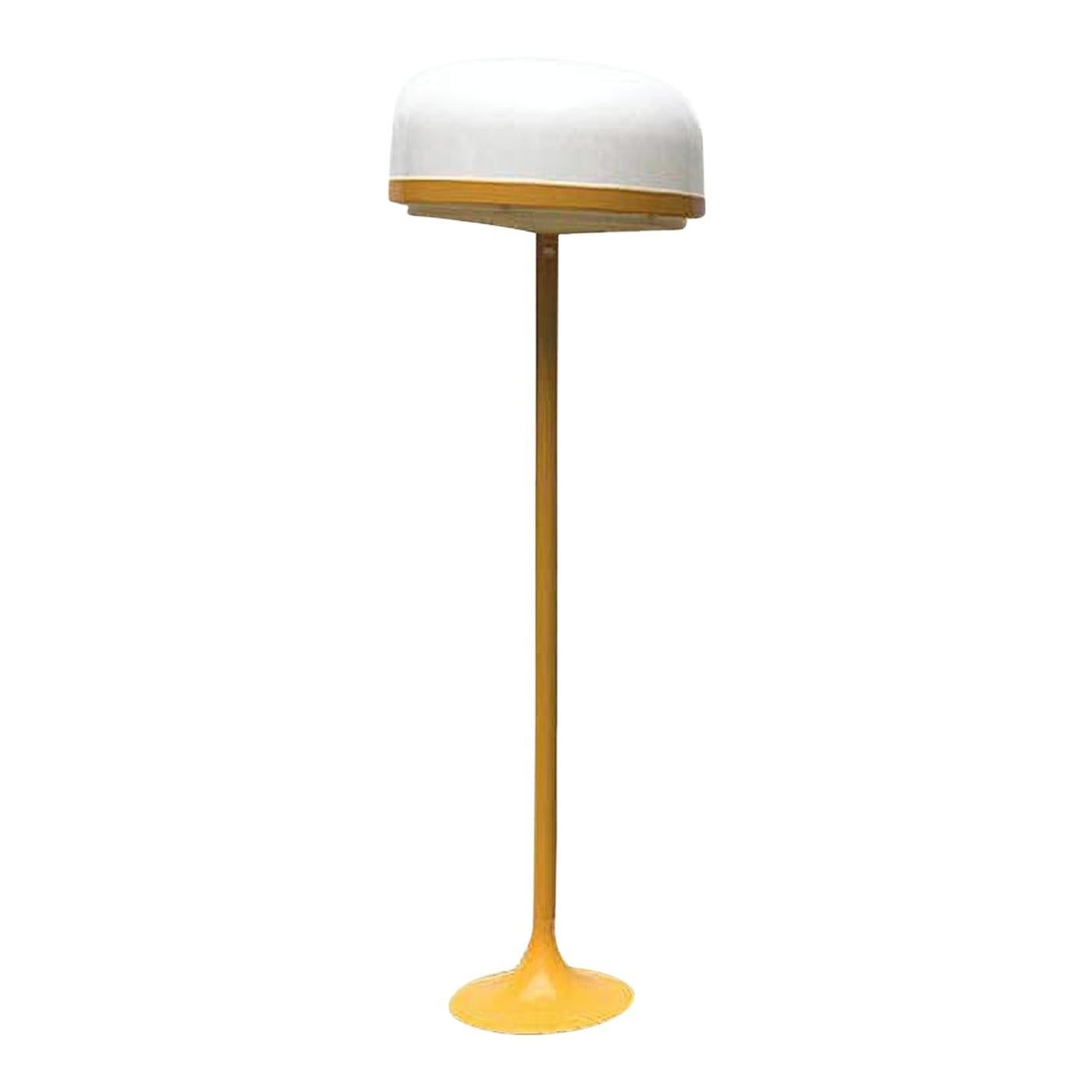 Kaiser Idell Floor Lamps