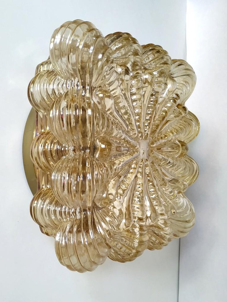 Mid-20th Century Midcentury German Vintage Amber Glass Ceiling or Wall Light Flushmount, 1960s For Sale