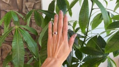 Mid Century GIA Ruby Diamond 18 Karat Gold Platinum Three Stone Ring