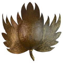 Mid-Century Gilt Brass Stylized Plane Tree Leaf Wall Sconce