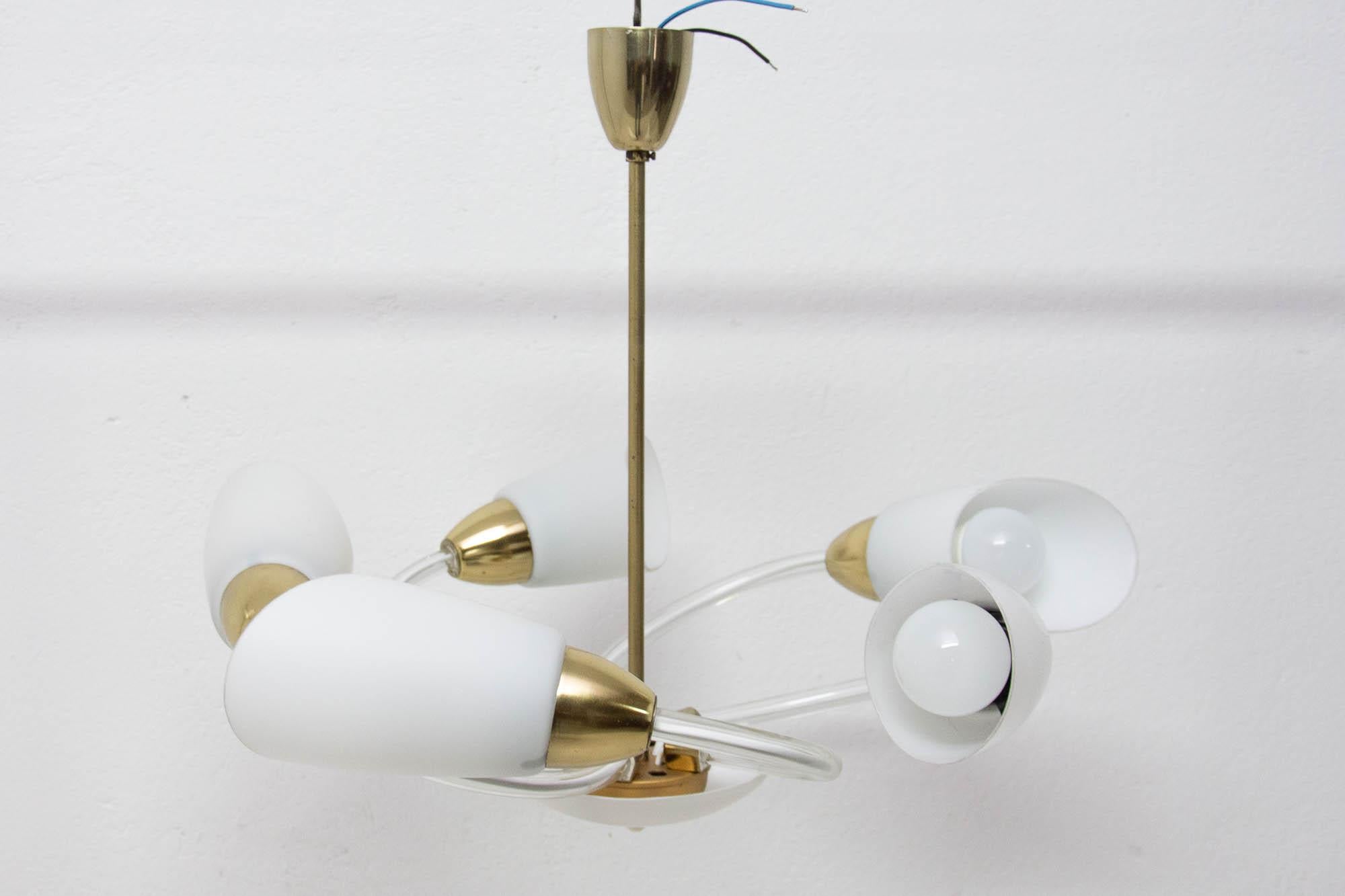Midcentury Glass Pendant Lamp, Bloom Shape, Czechoslovakia, 1960s For Sale 1