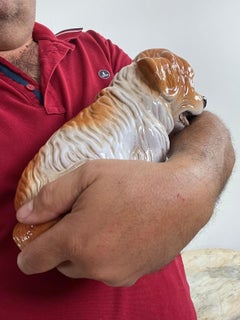 Cucciolo di cane in ceramica smaltata di metà secolo, Made in Italy 1960