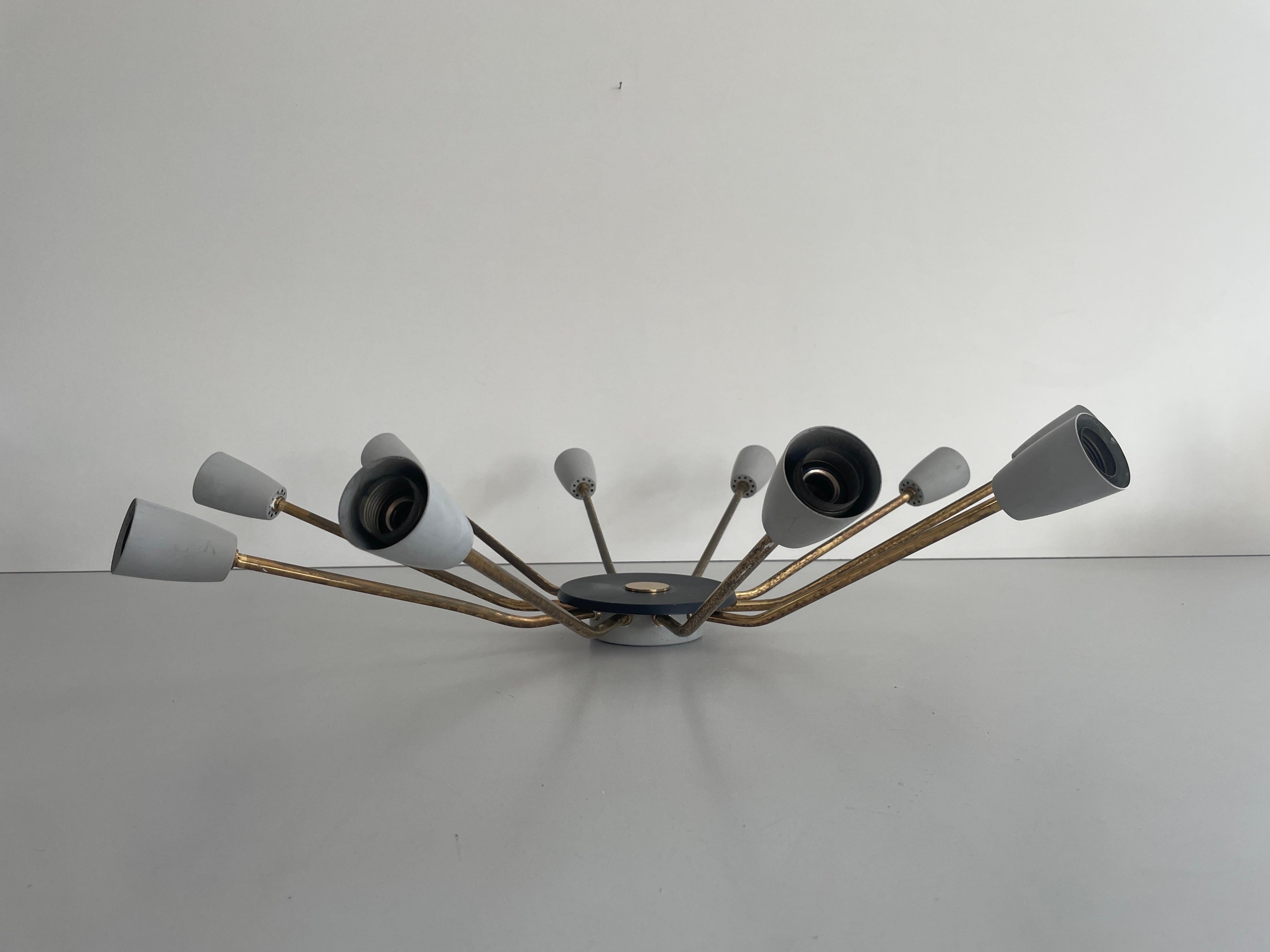 Mid-Century Modern Mid-century Gray Metal and Brass Body 10-armed Ceiling Lamp, 1950s, Germany For Sale