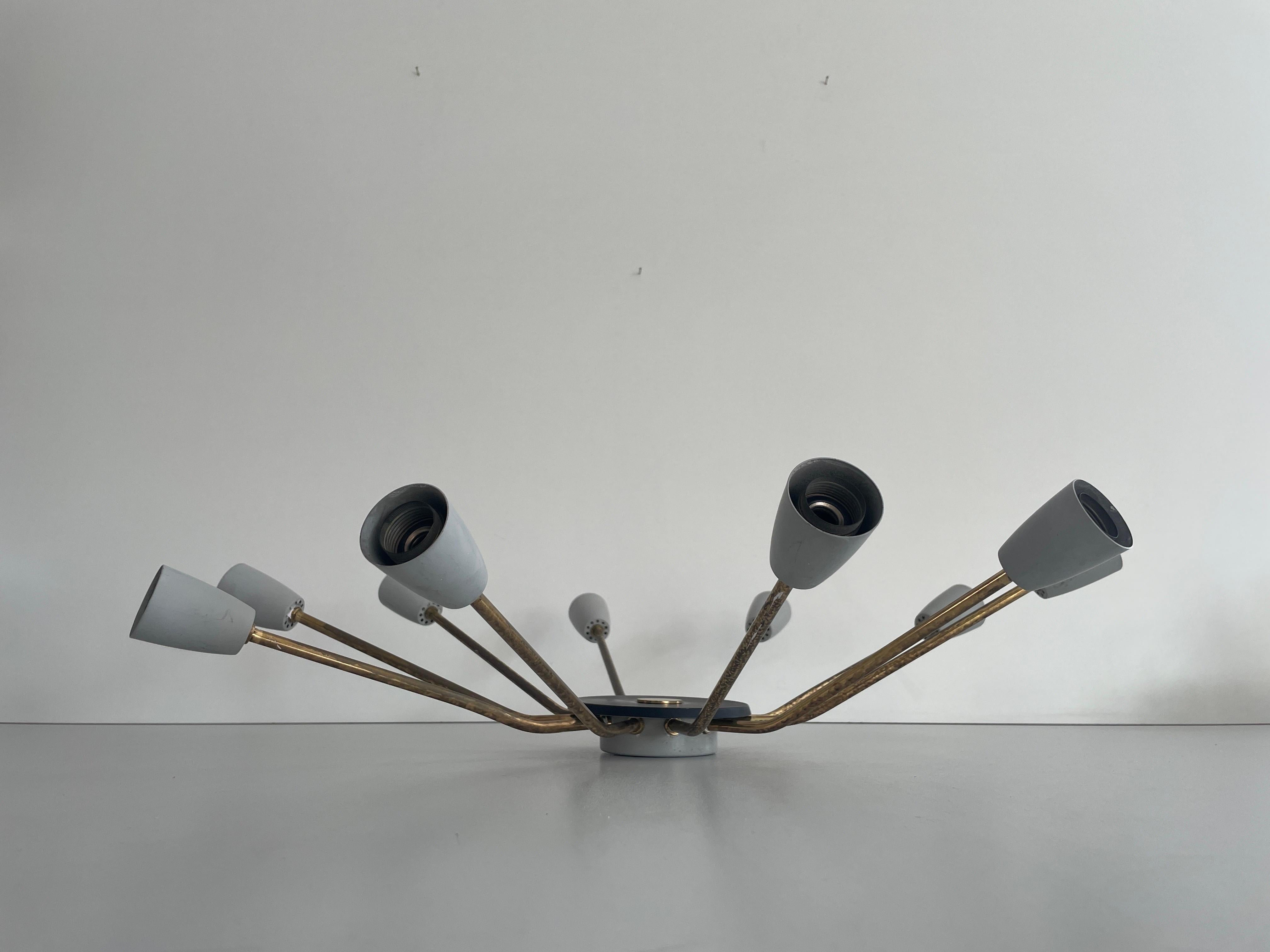 Mid-century Gray Metal and Brass Body 10-armed Ceiling Lamp, 1950s, Germany For Sale 1