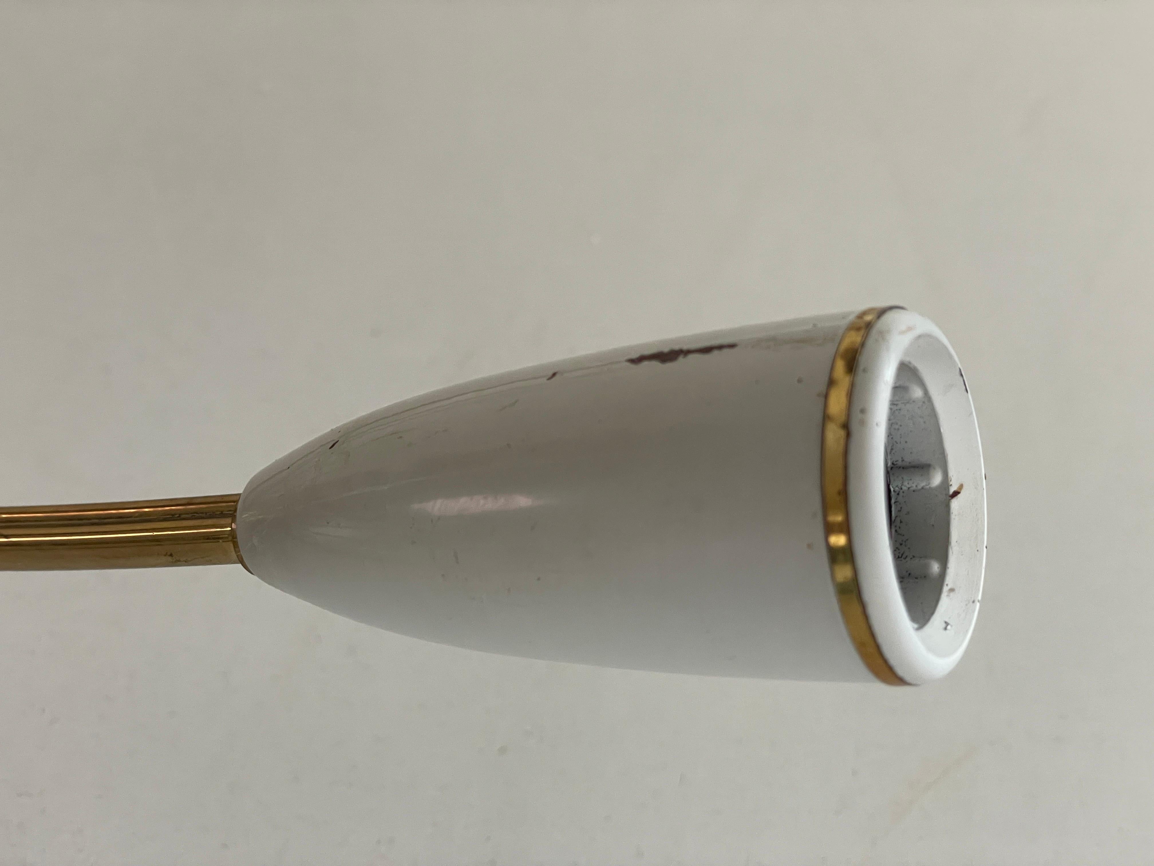 Mid-century Gray Metal and Brass Body 12-armed Ceiling Lamp, 1950s, Germany in vendita 1