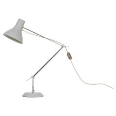 Mid-Century Gray Task Lamp by Napako, 1950s