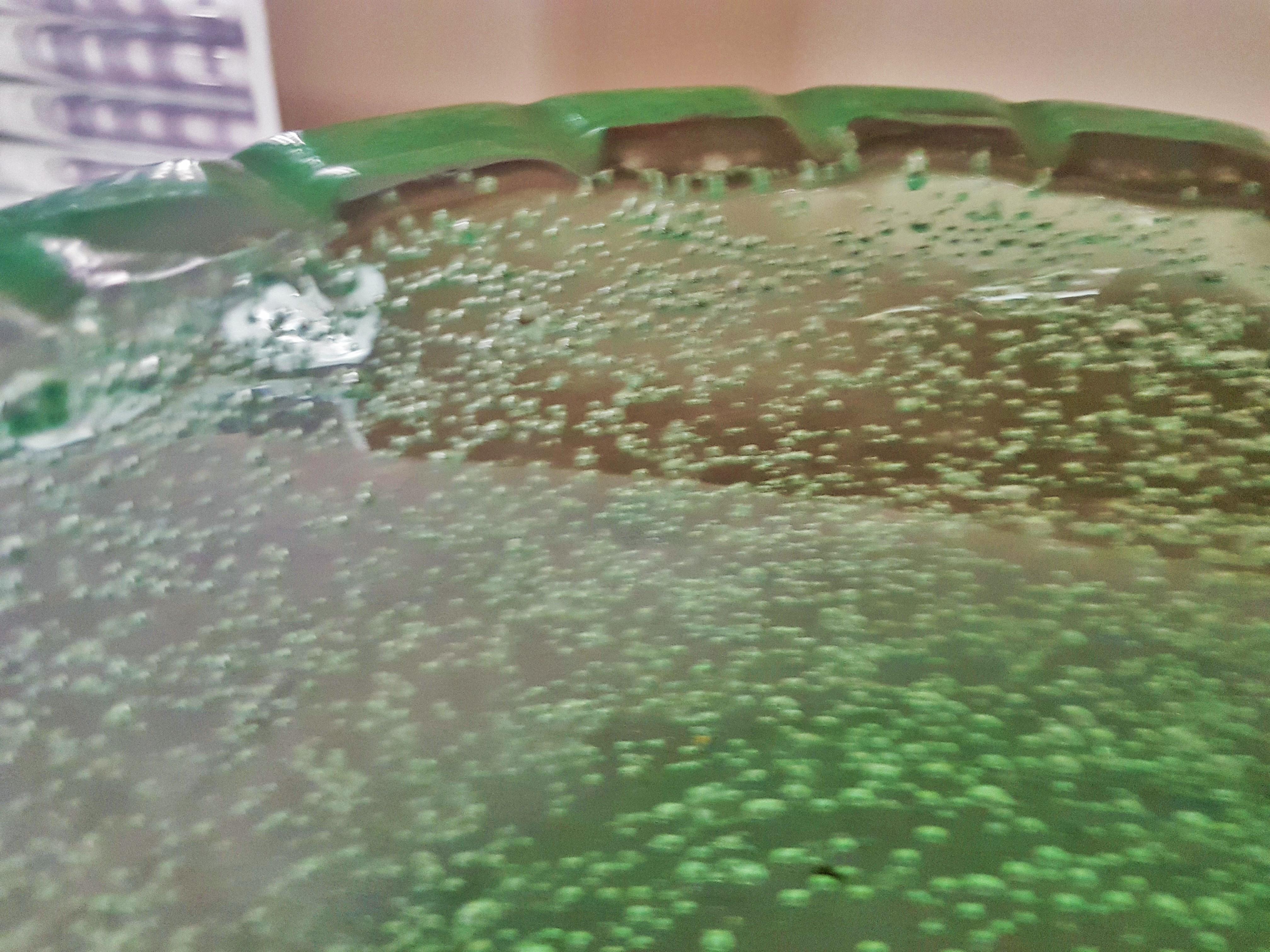 Mid-Century Green Bubble Glass Bowl by Daum Saint Gobin France For Sale 4