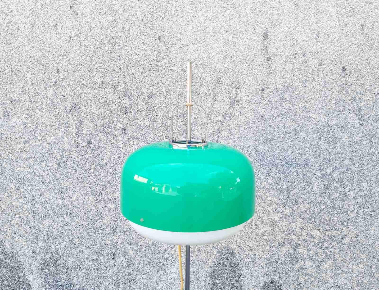 Mid-Century Green Medusa Floor Lamp Designed by Luigi Massoni for Guzzini, Italy For Sale 2