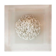 Mid-Century Hand Blown Illuminated Murano Wall Sculpture Signed by Angelo Brotto