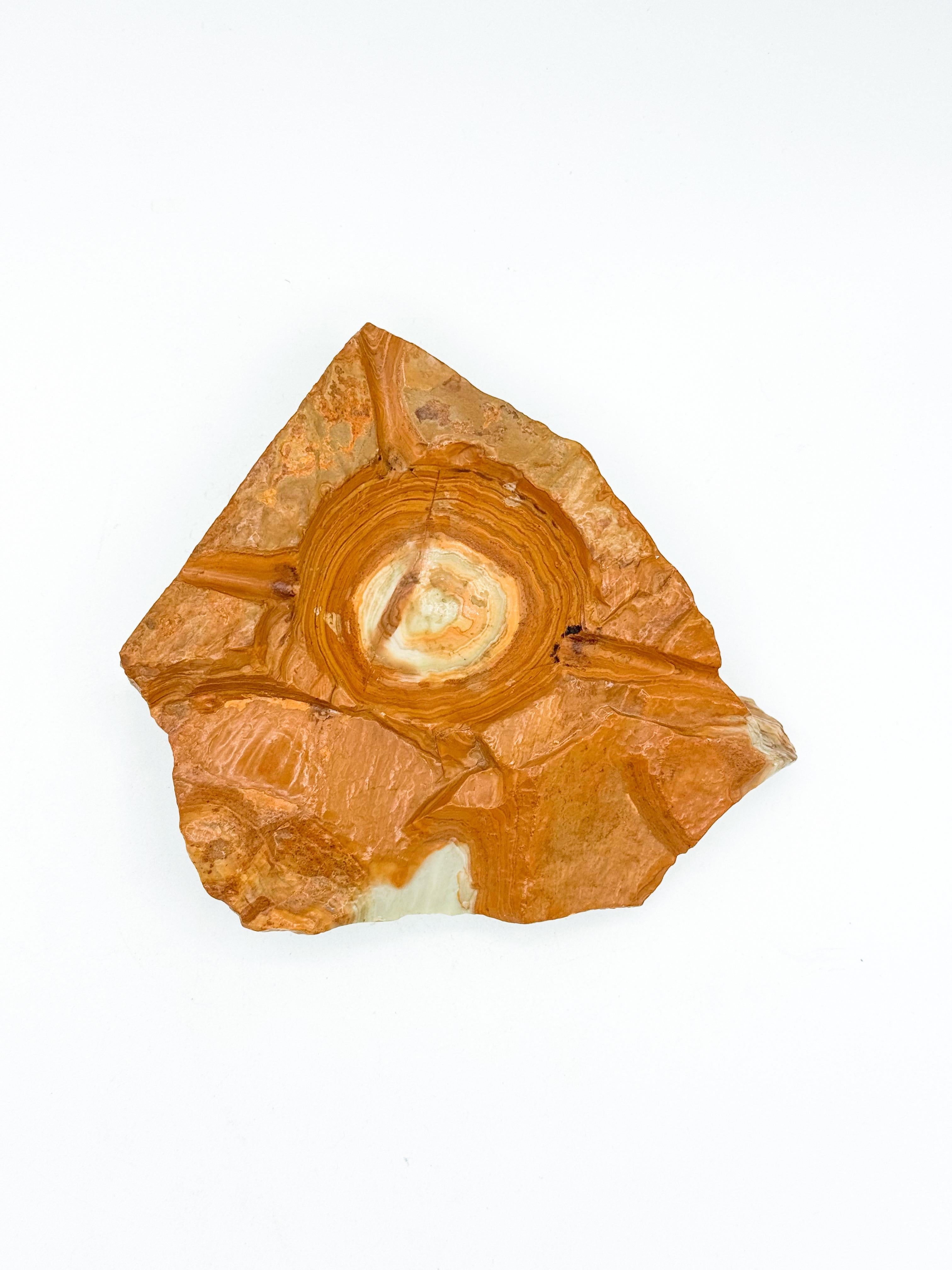 Beschreibung:
Ein außergewöhnlicher handgeschnitzter Aschenbecher aus der Mitte des Jahrhunderts, der aus einem massiven Stück natürlichen Onyx gefertigt ist. Dieses skulpturale Objekt unterstreicht die auffallende Schönheit des Steins mit seiner