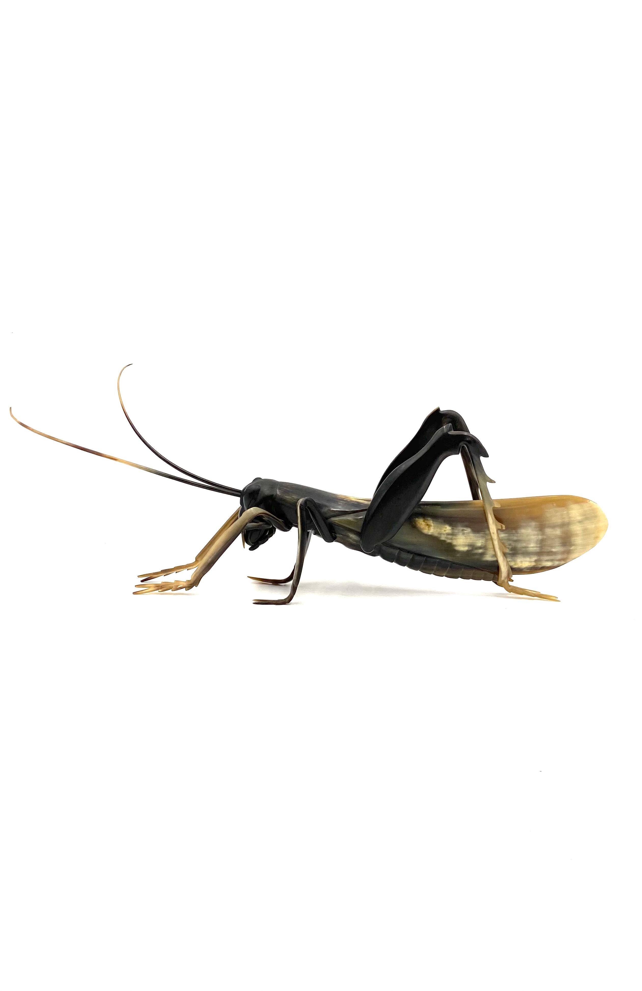Midcentury Hand-Crafted Horn Grasshopper, France, 1960s For Sale 4