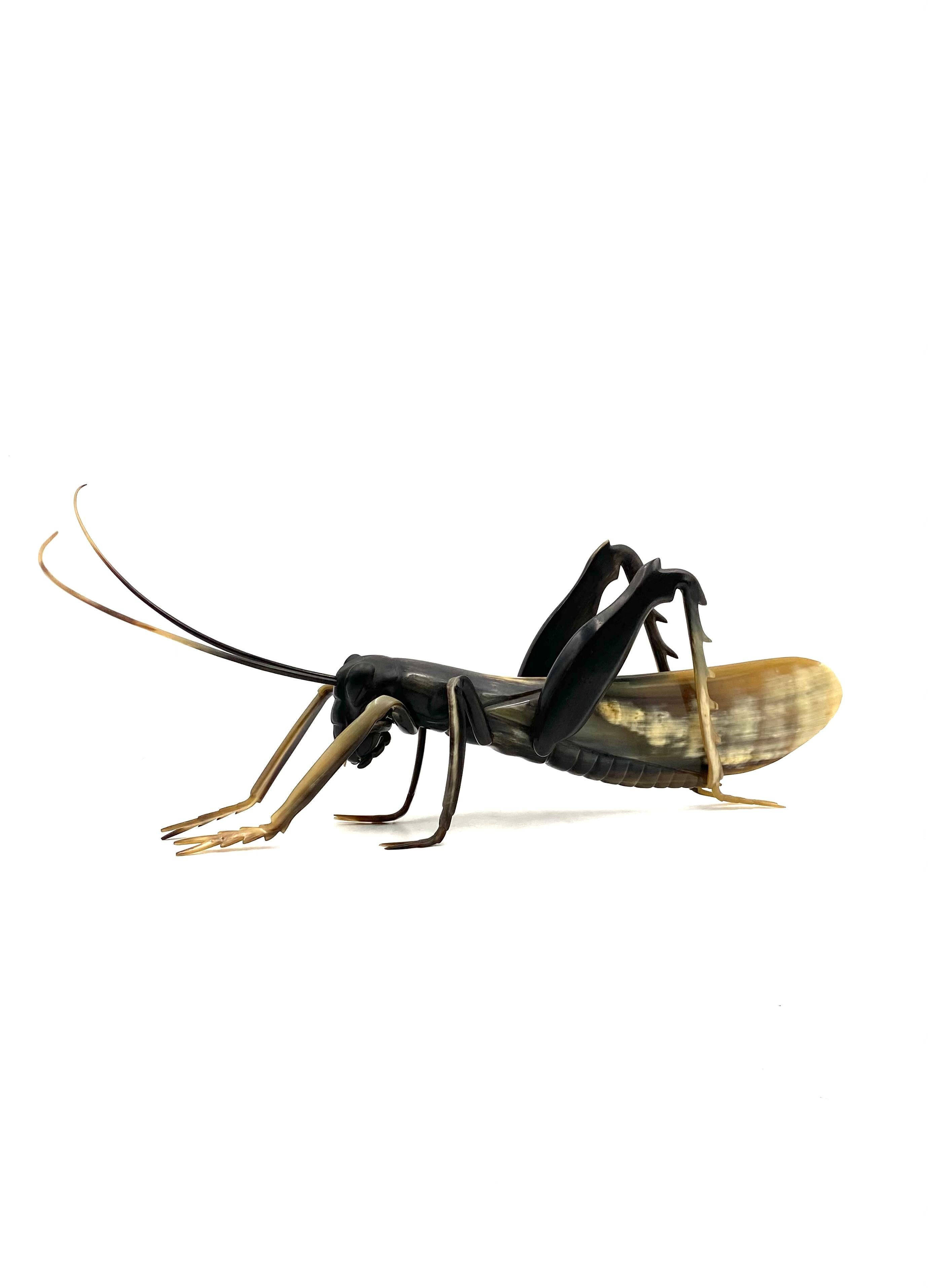 Midcentury Hand-Crafted Horn Grasshopper, France, 1960s For Sale 5