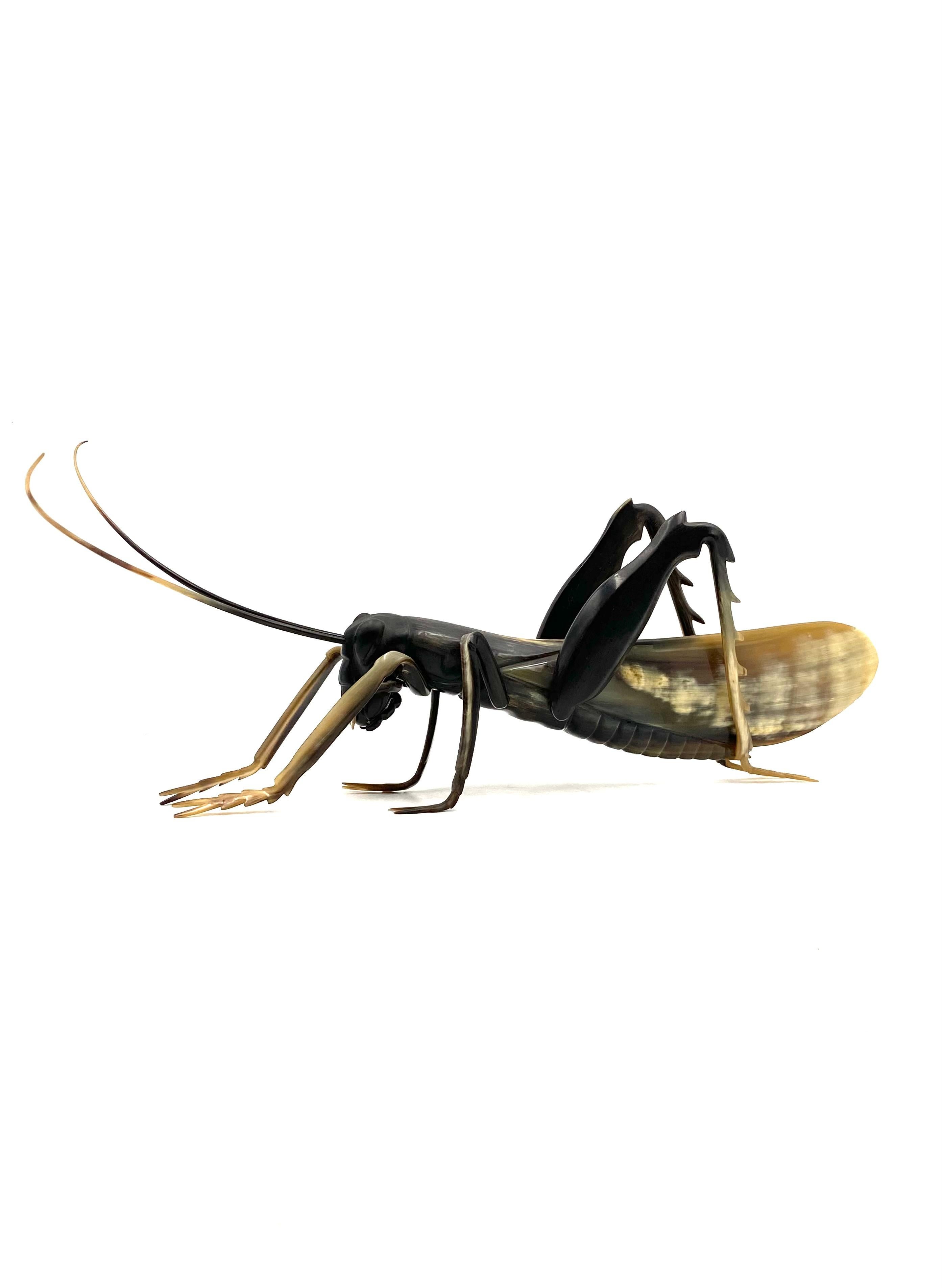 Midcentury Hand-Crafted Horn Grasshopper, France, 1960s For Sale 6