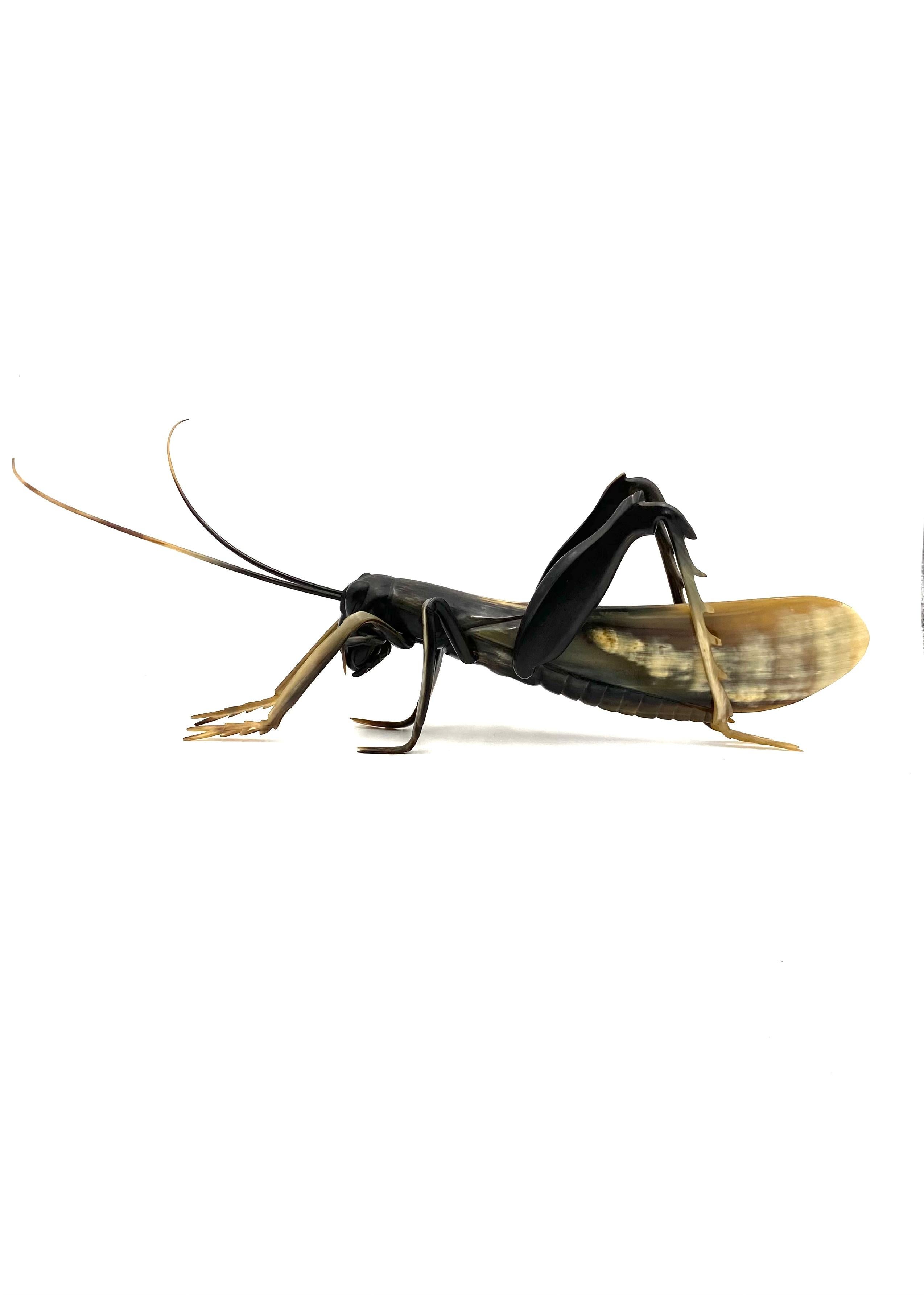 Unique piece. Hand-crafted Grasshopper figure made with natural horn.

Rarely seen item. Great hand.

France 1960s

Measures: H 19 cm - 55 x 15 cm

Conditions: excellent, no defects no dents no missing parts.