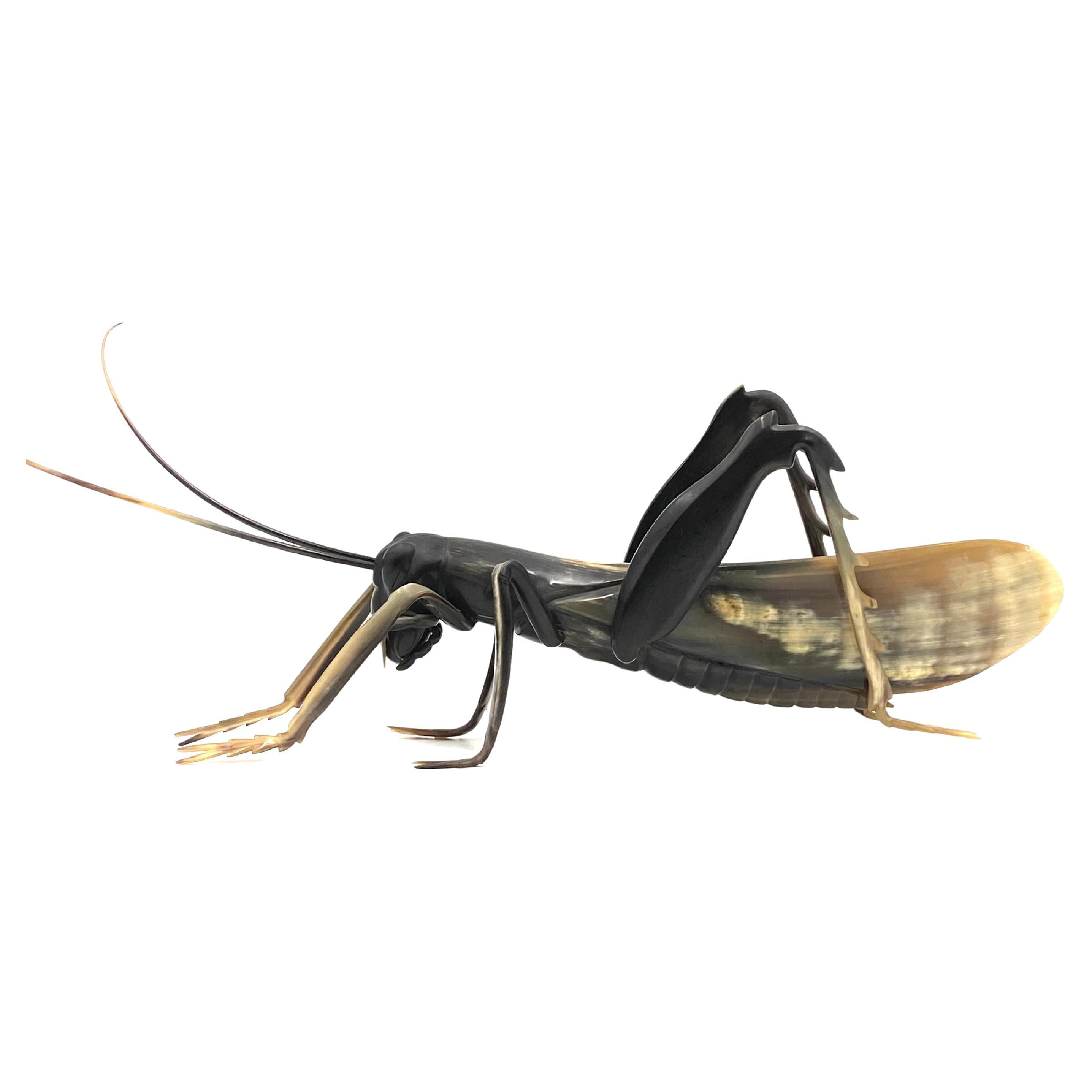 Midcentury Hand-Crafted Horn Grasshopper, France, 1960s For Sale