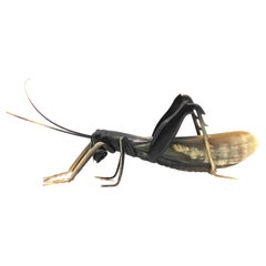 Midcentury Hand-Crafted Horn Grasshopper, France, 1960s
