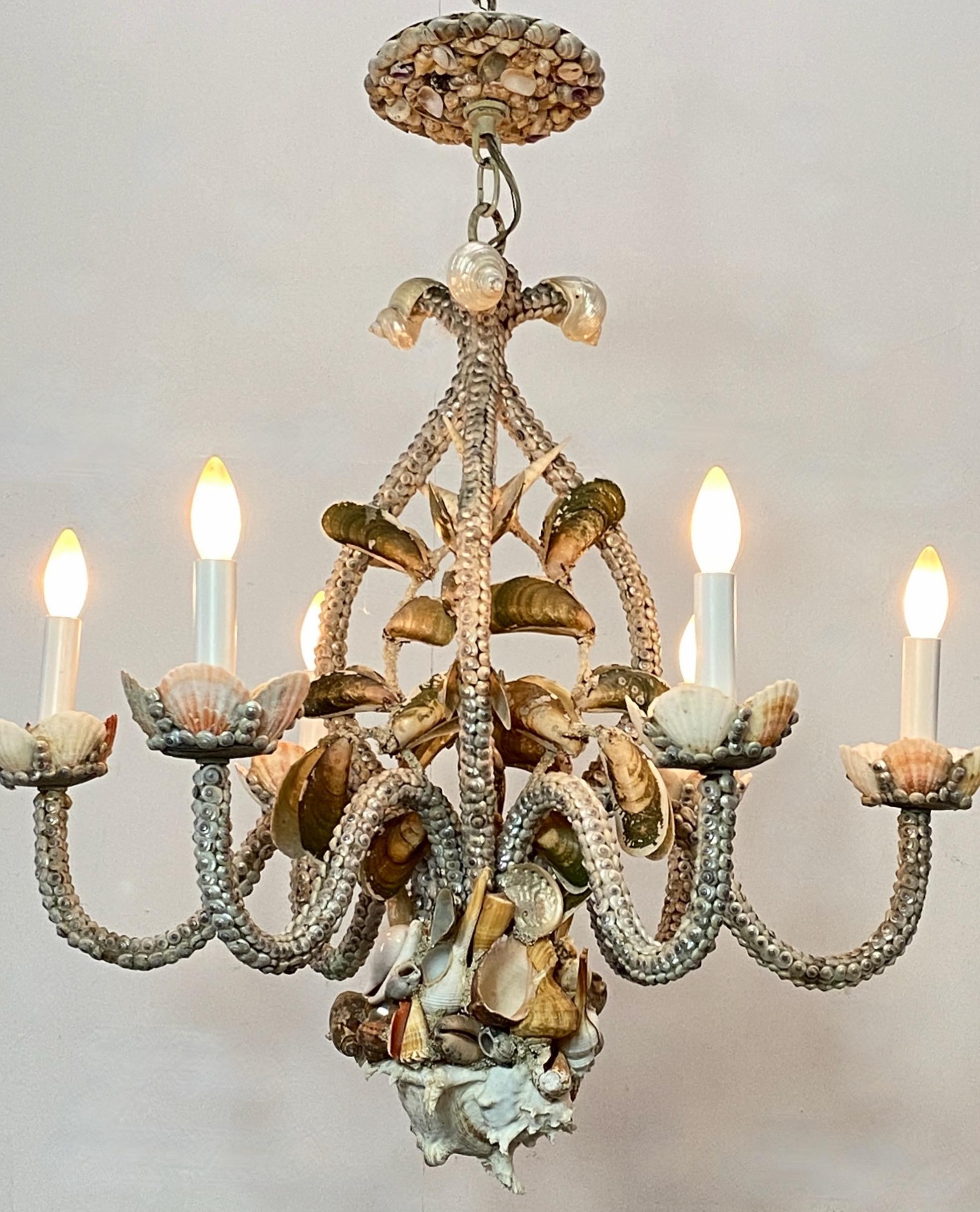 A 6-arm Palm Beach or Grotto style seashell encrusted chandelier with conch shell  bottom finial and original shell covered canopy.
This is a vintage handmade light fixture in remarkable condition.
1940's - 1960's
The fixture itself measures 24
