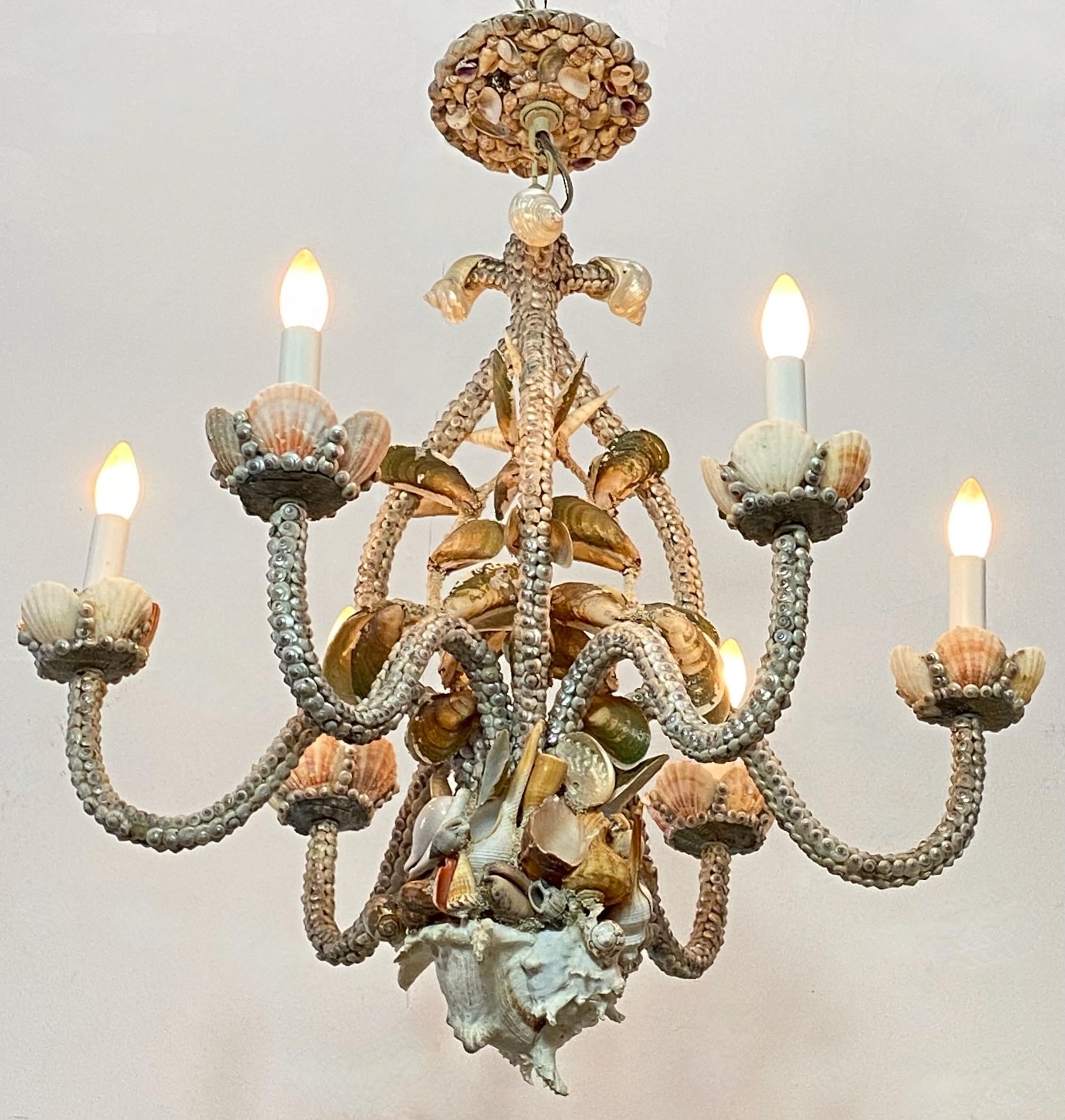 sea shell chandelier