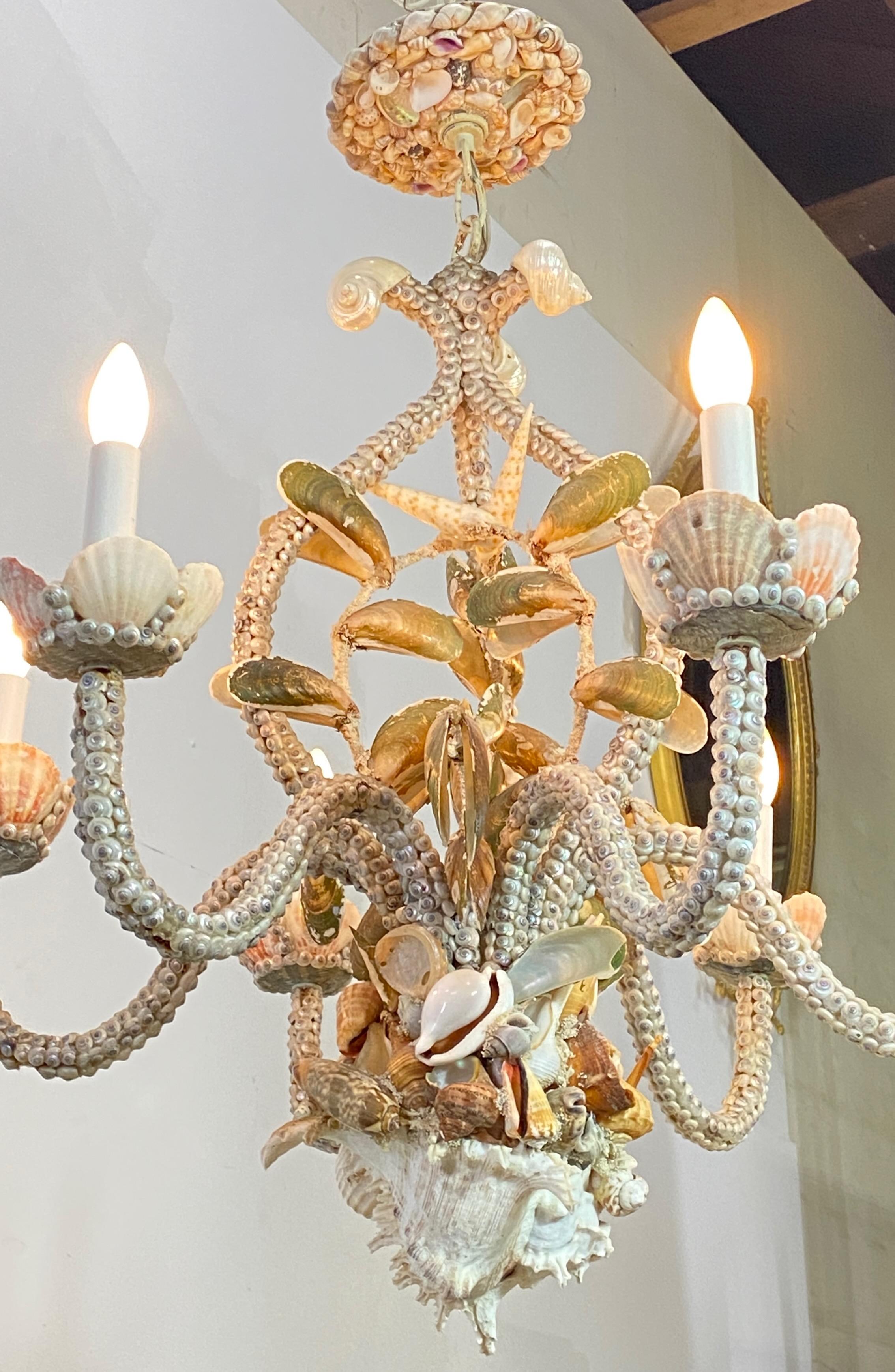 Baroque Mid Century Hand Made Seashell Encrusted Chandelier