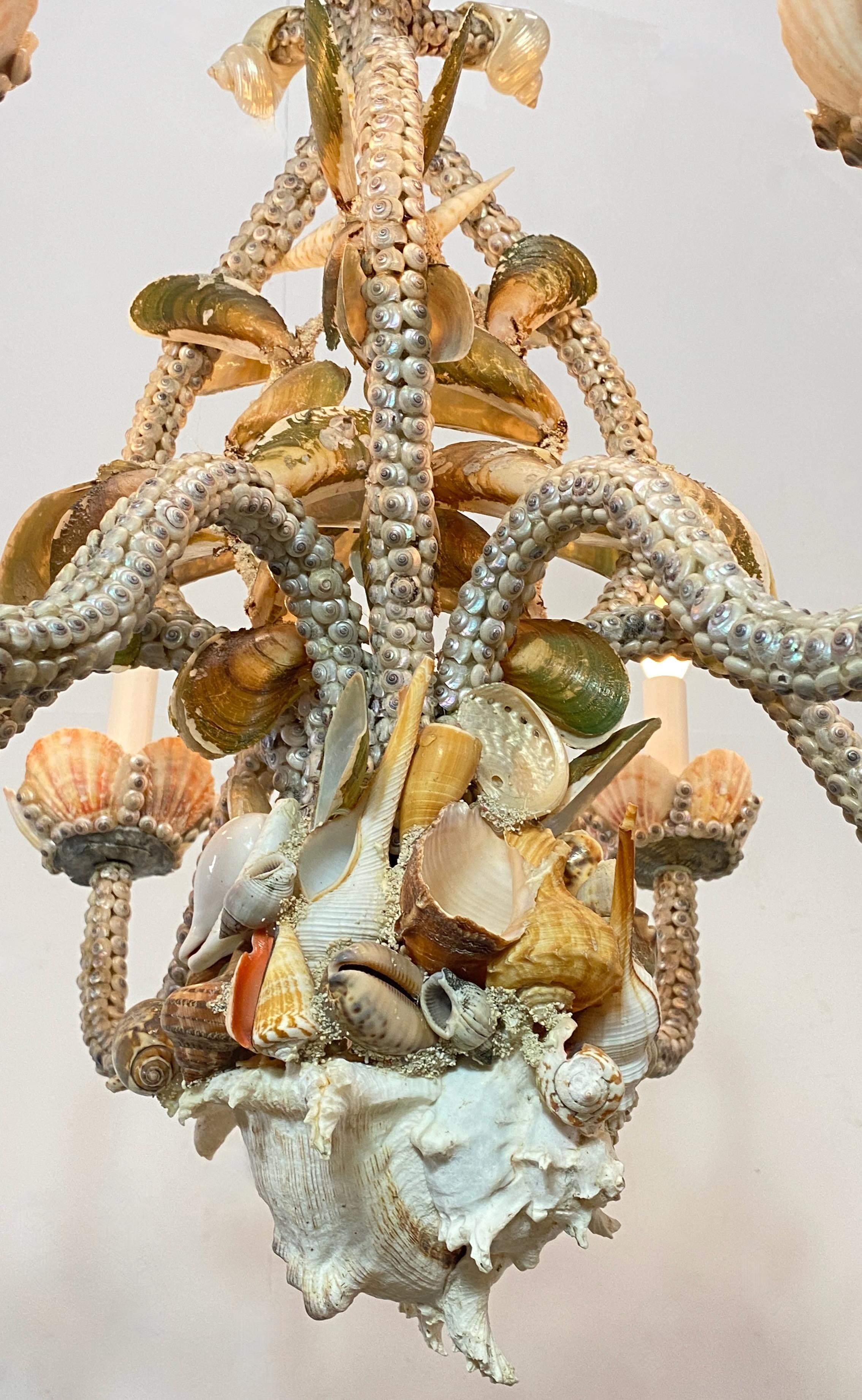 Mid Century Hand Made Seashell Encrusted Chandelier In Good Condition In San Francisco, CA