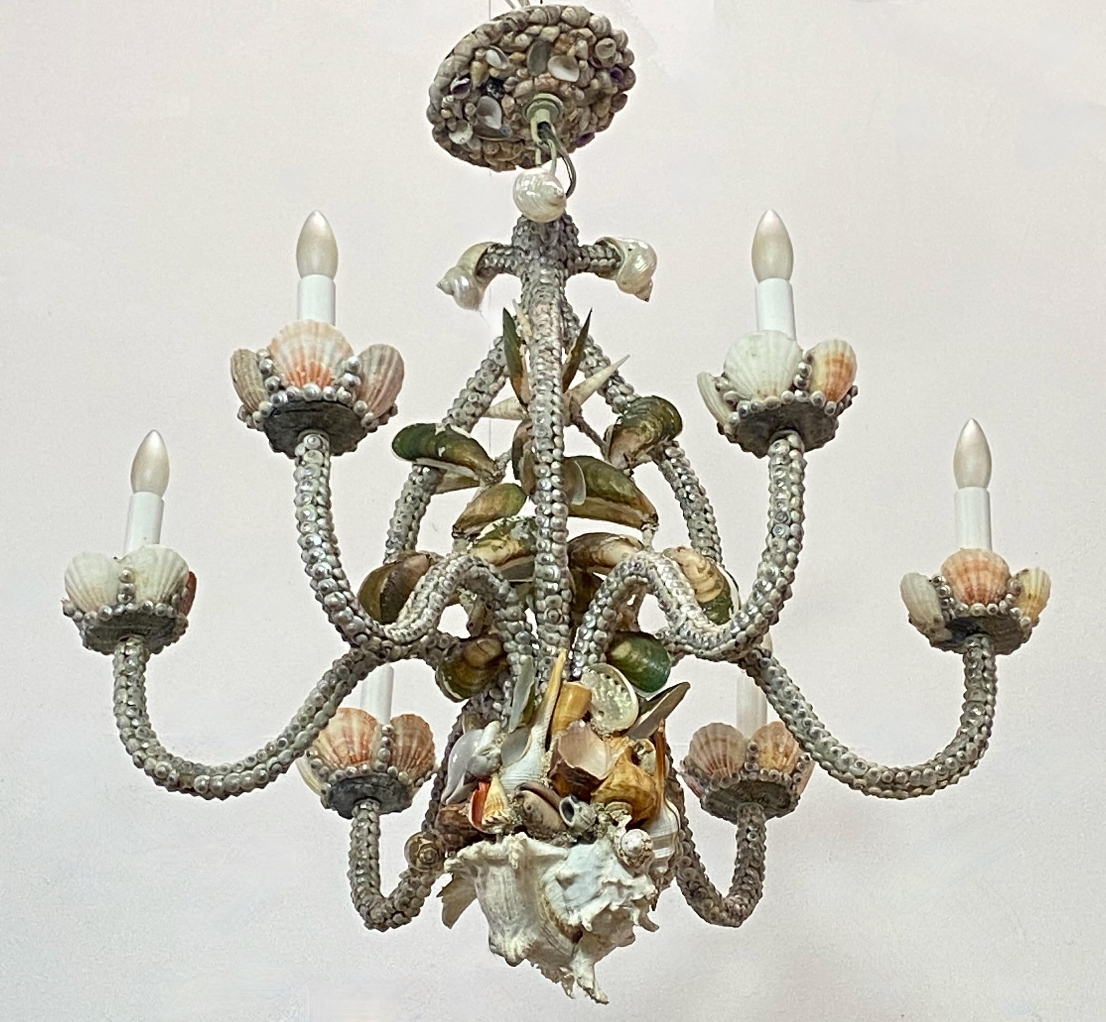 19th Century Mid Century Hand Made Seashell Encrusted Chandelier