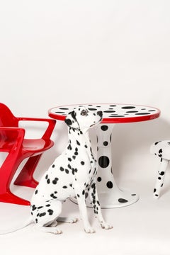 Mid Century Hand Tufting Cruella Dalmatian Wool, Rajmund Halas Chair, 1960s