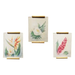 Vintage Mid Century Hawaiian Art Original Framed Paintings Set by Tip Freeman