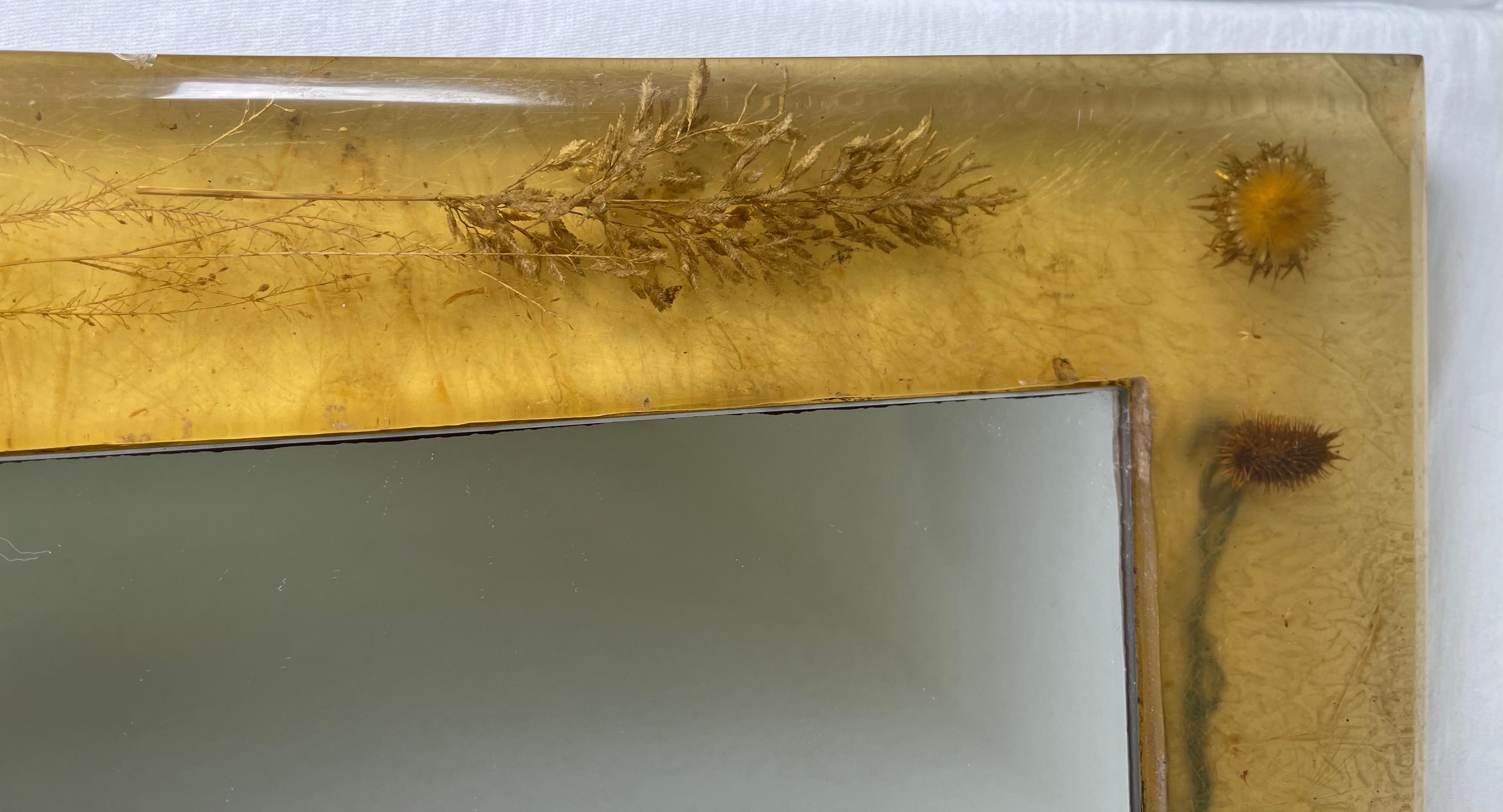 French Mid-Century Herbarium Inclusion Mirror For Sale