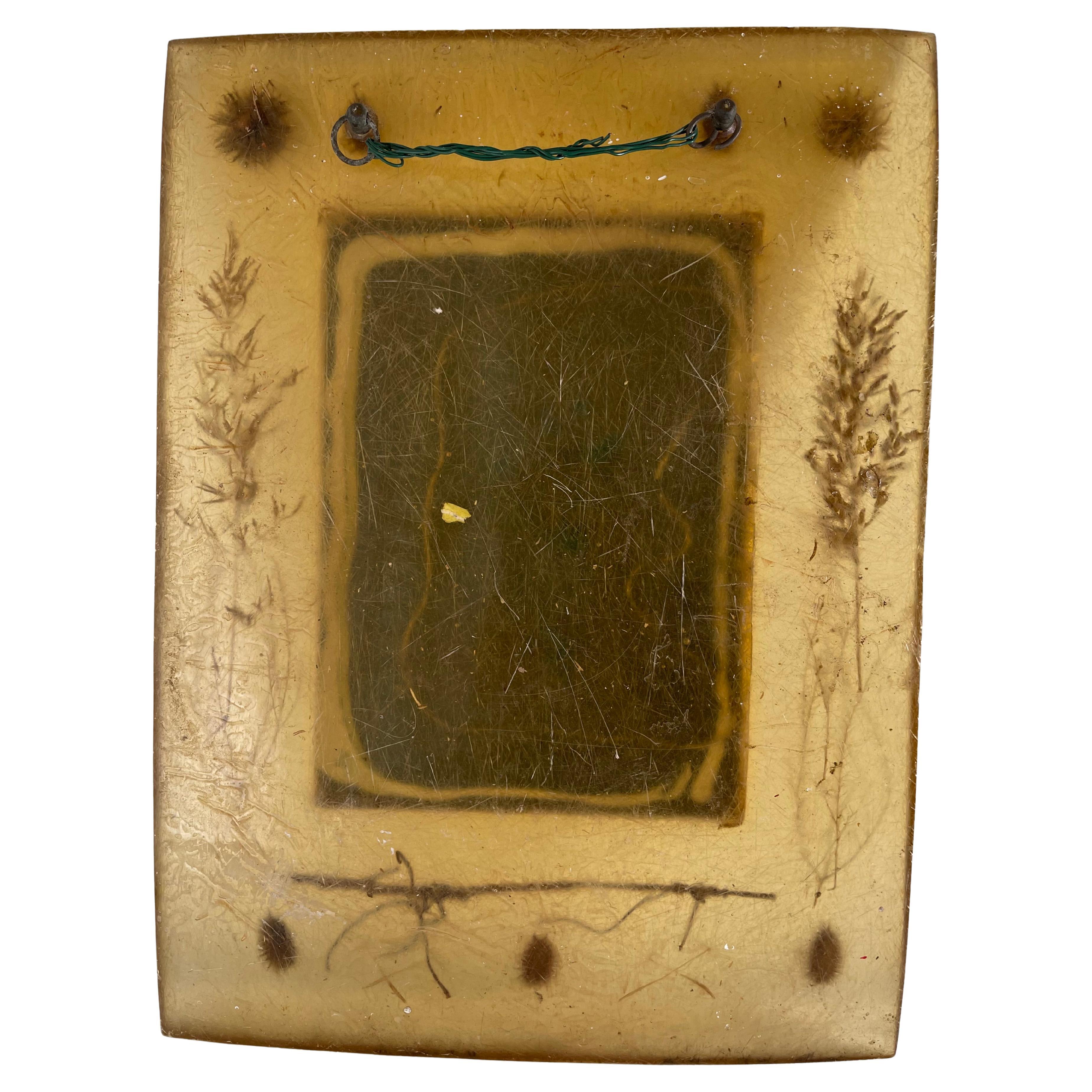 Mid-Century Herbarium Inclusion Mirror In Good Condition For Sale In palm beach, FL