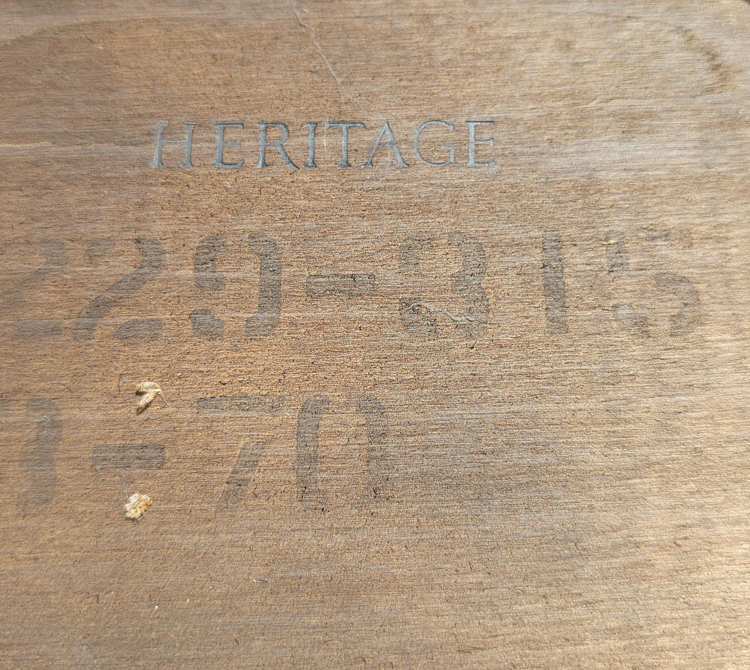 Mid-Century Heritage Wurzelholz Pedestal Beistelltisch (20. Jahrhundert) im Angebot