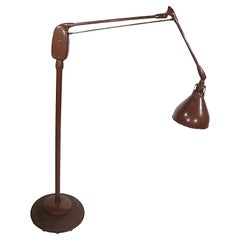 Floor Lamps