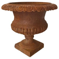Iron Planters and Jardinieres