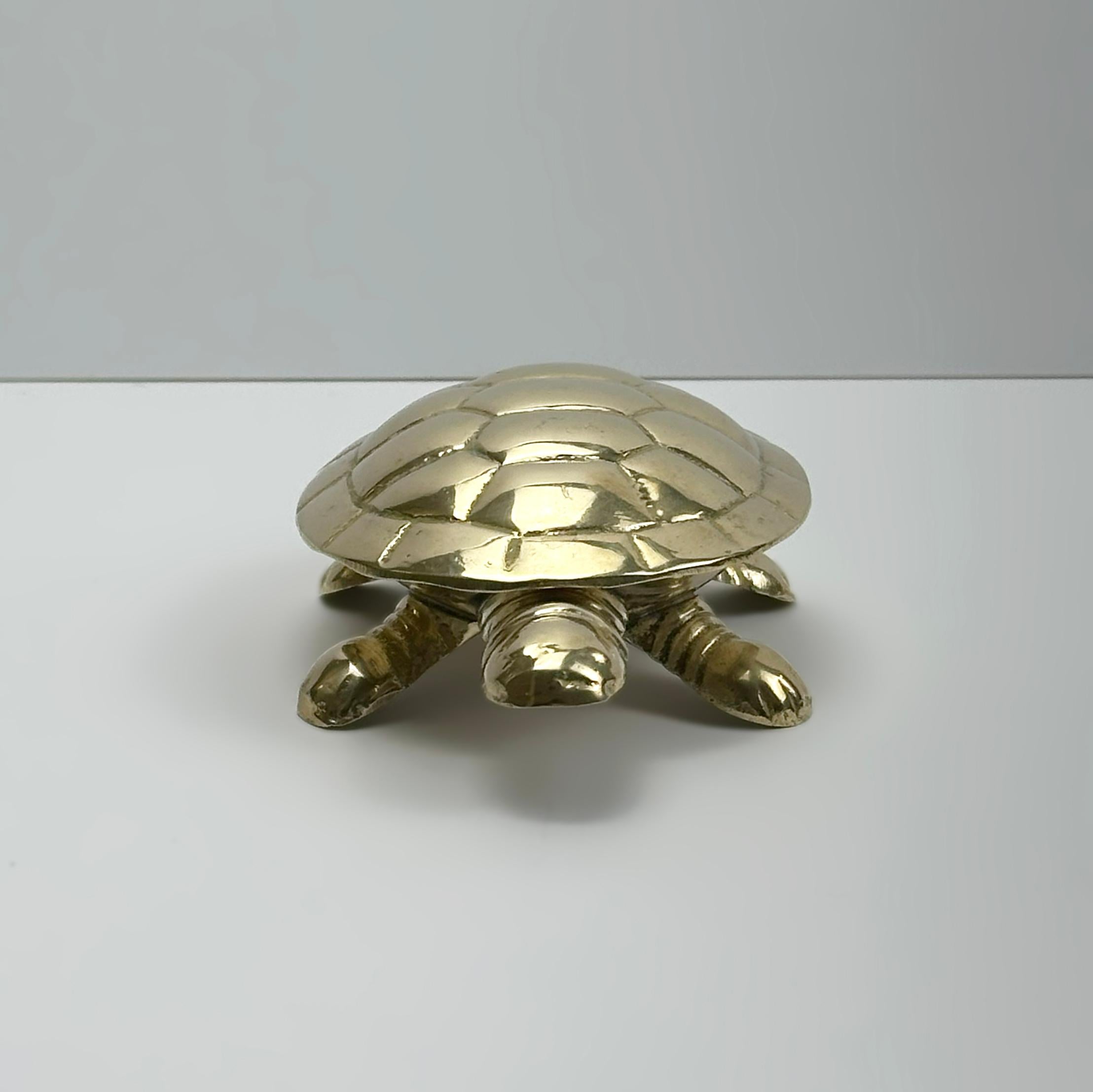 Boîte à bibelots Turtle en laiton avec couvercle à charnière en vente 1