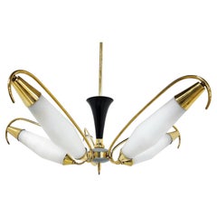 Mid Century Italian Chandelier, 1960s