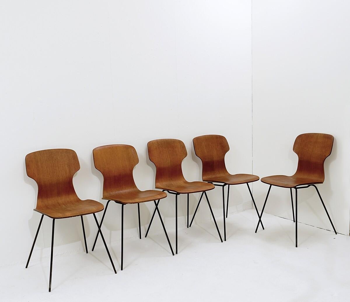 Mid century Italian design curved teak dining chairs in the style of Carlo Ratti - set of 5 - 1950s.