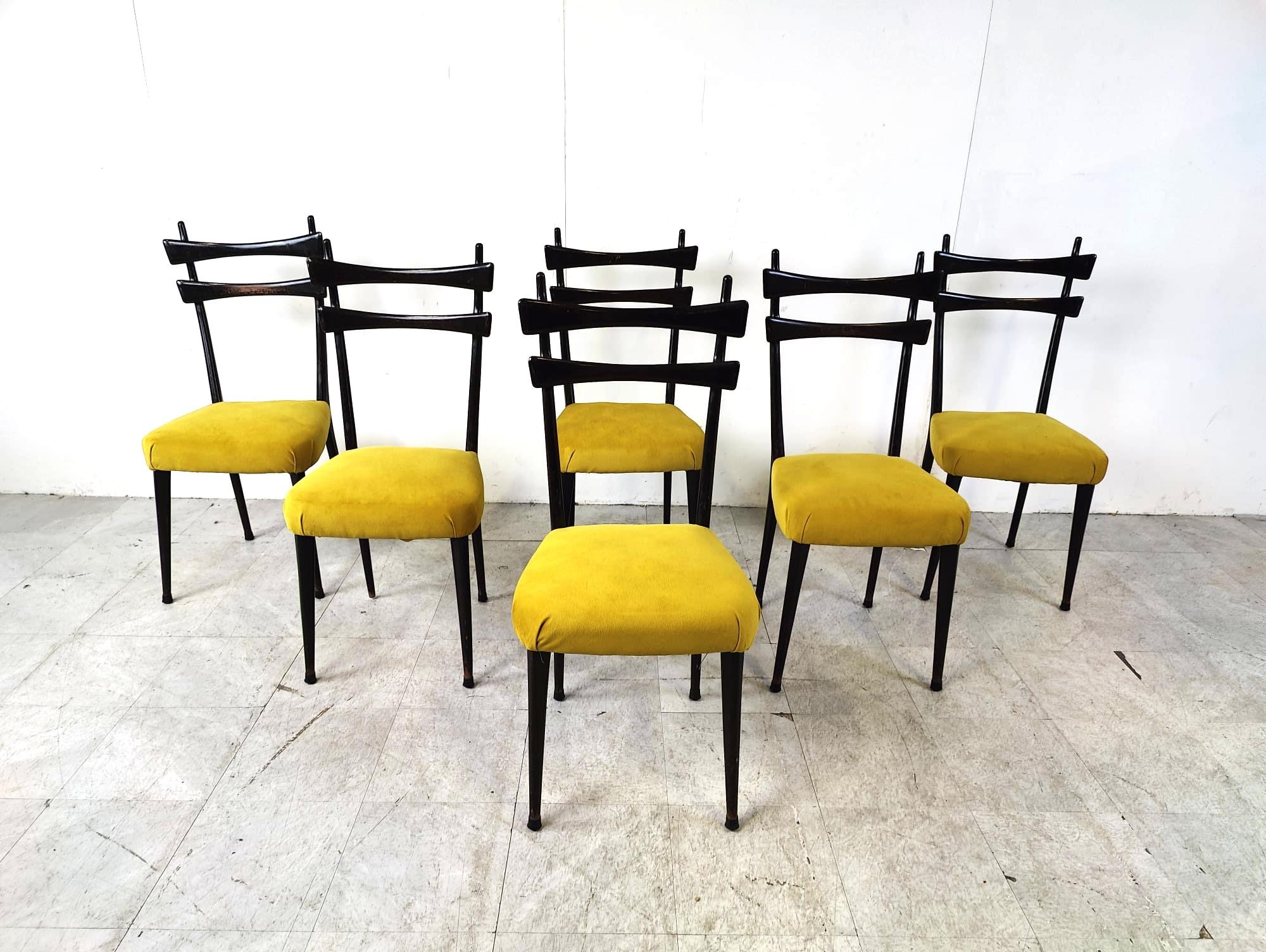 Mid-Century Modern Mid century  italian dining chairs, 1950s For Sale