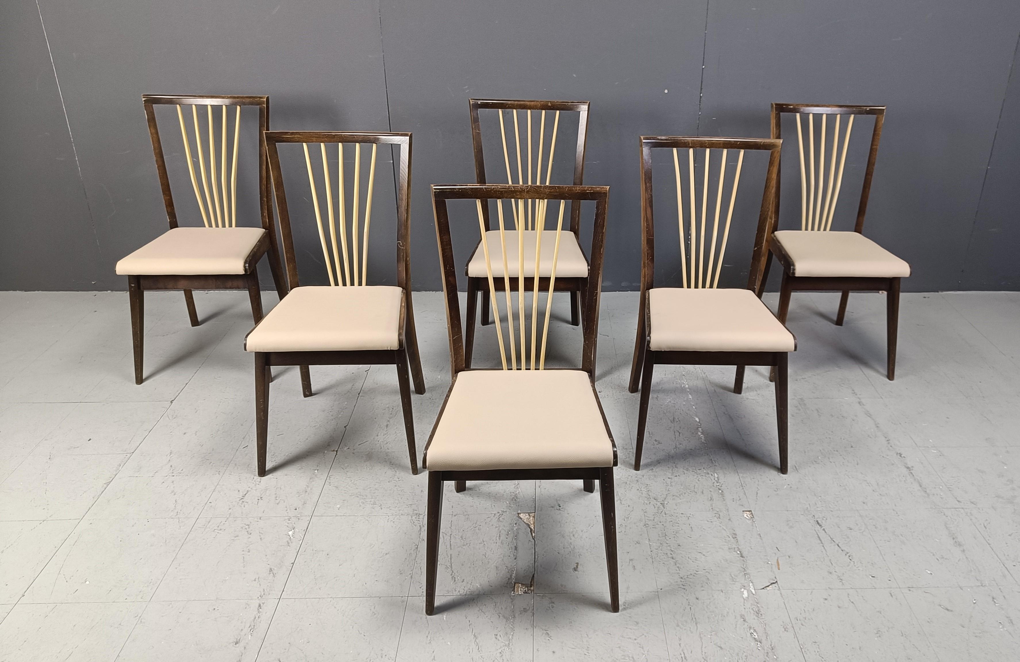Mid-Century Modern Mid century italian dining chairs, 1950s For Sale