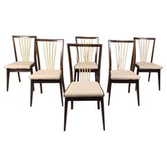 Mid century italian dining chairs, 1950s