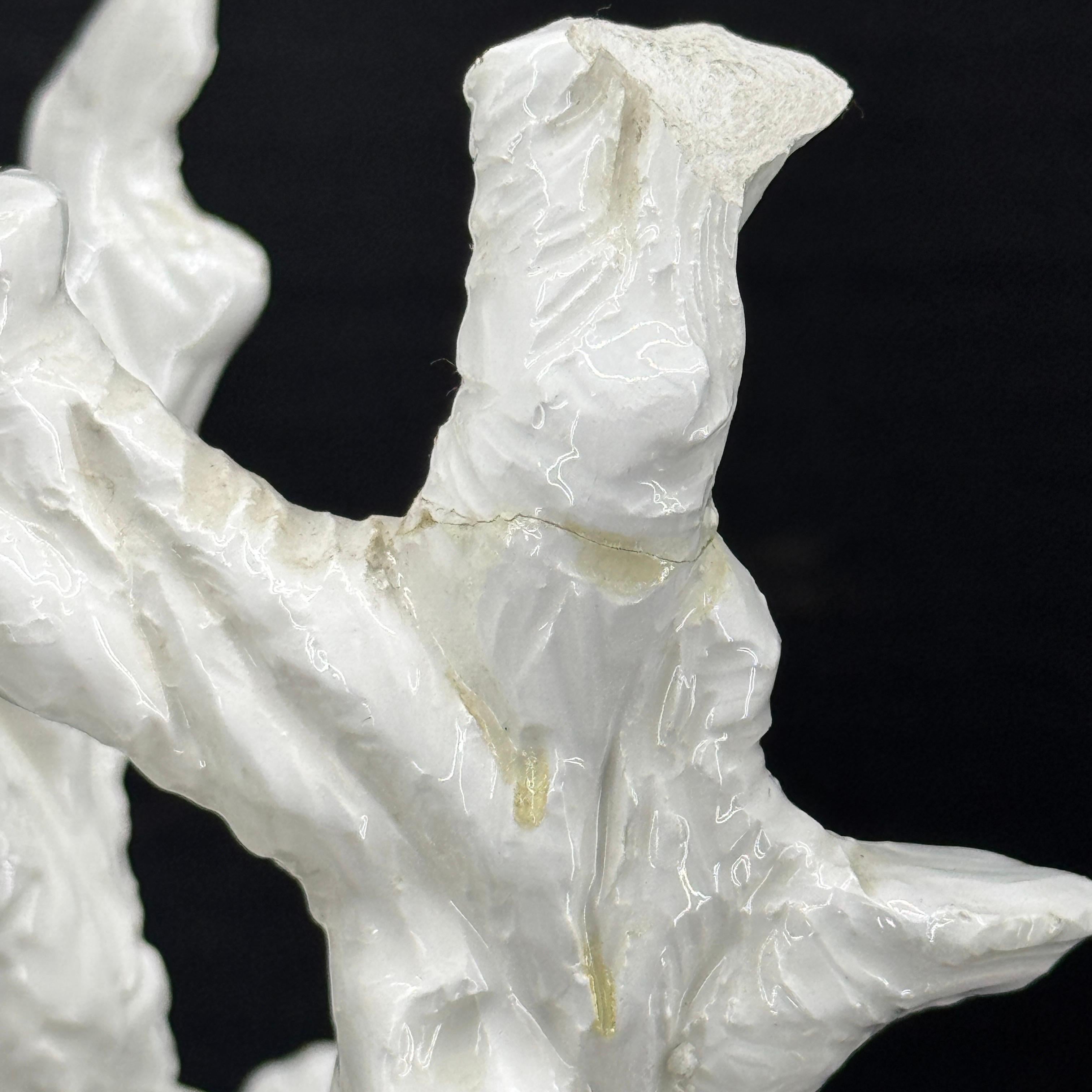Lampada da tavolo in ceramica smaltata Faux Boi, italiana di metà secolo in vendita 8
