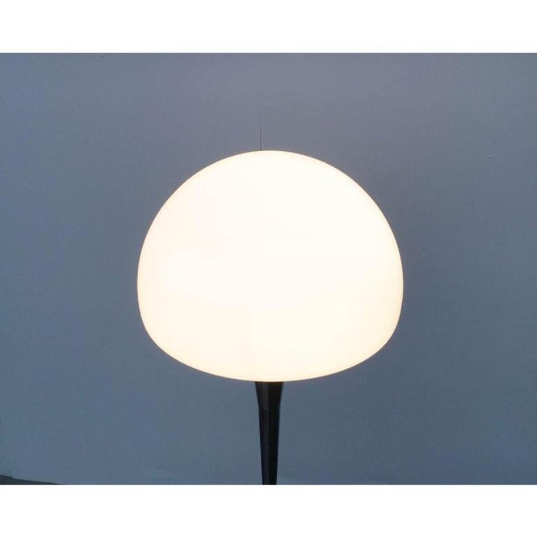 Mid-Century Italian Floor Lamp by Goffredo Reggiani for Reggiani, 1960s For Sale 5