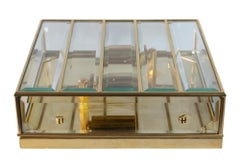 Mid-Century Italian Glass Flush Mount Chandelier